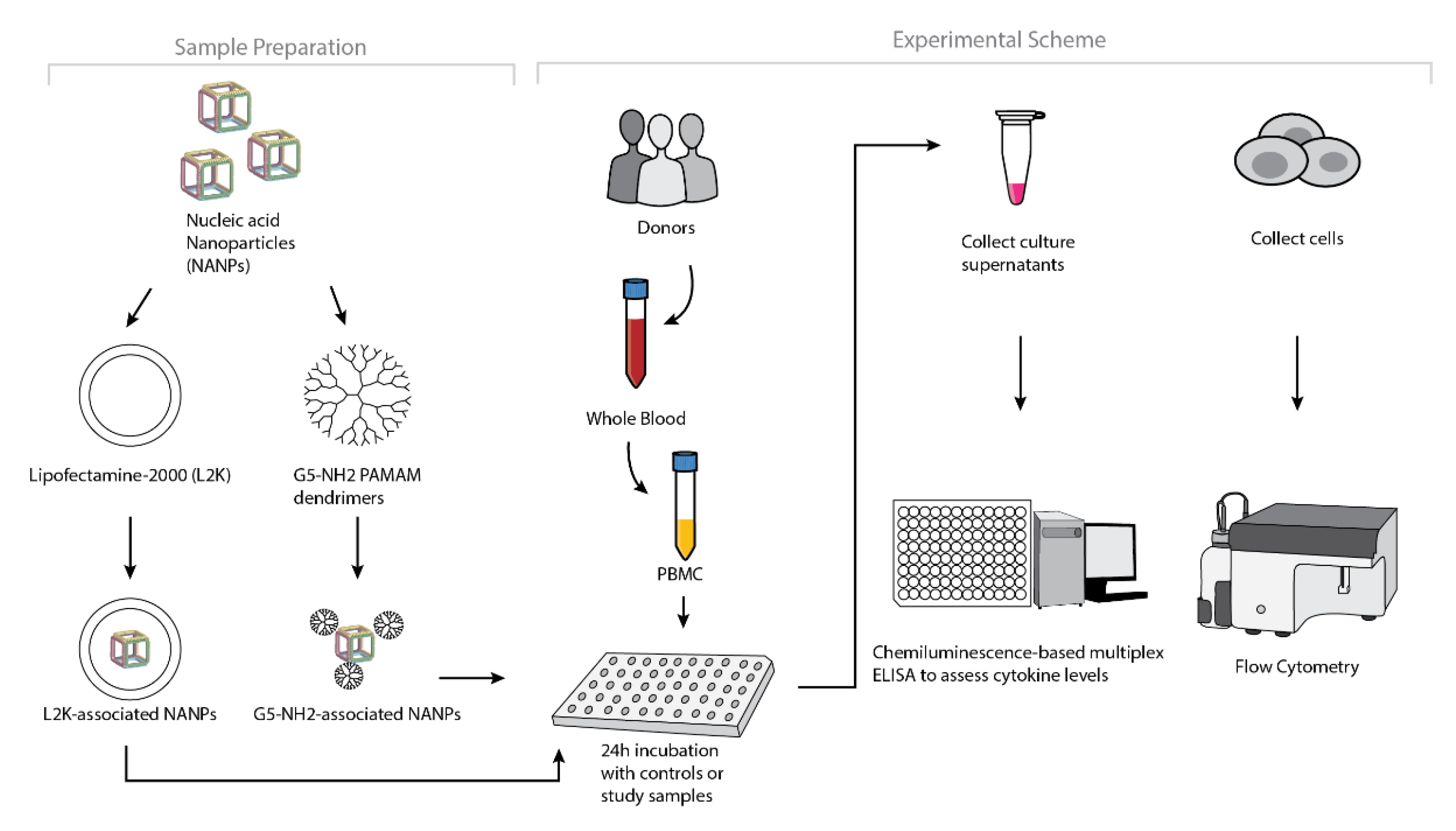 Molecules 26 00652 g004 Molecules 26 00652 g004