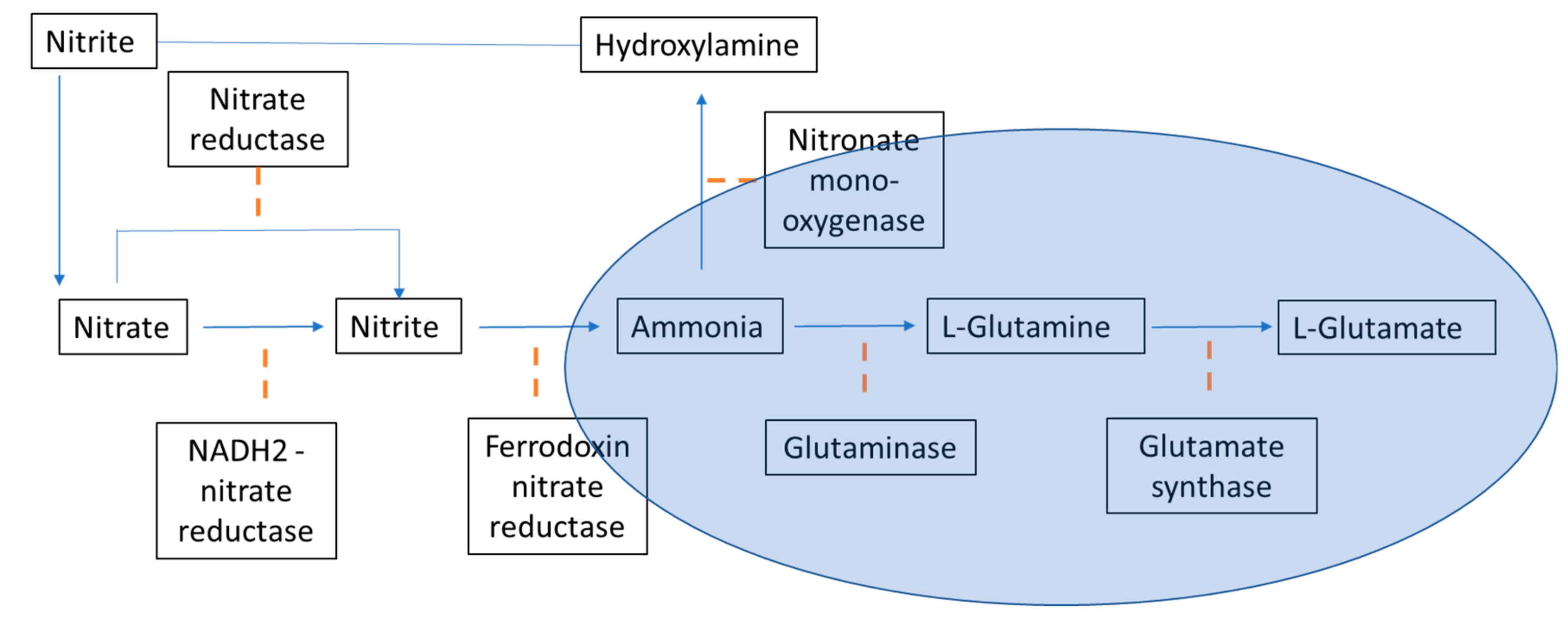 Molecules 26 00653 g009