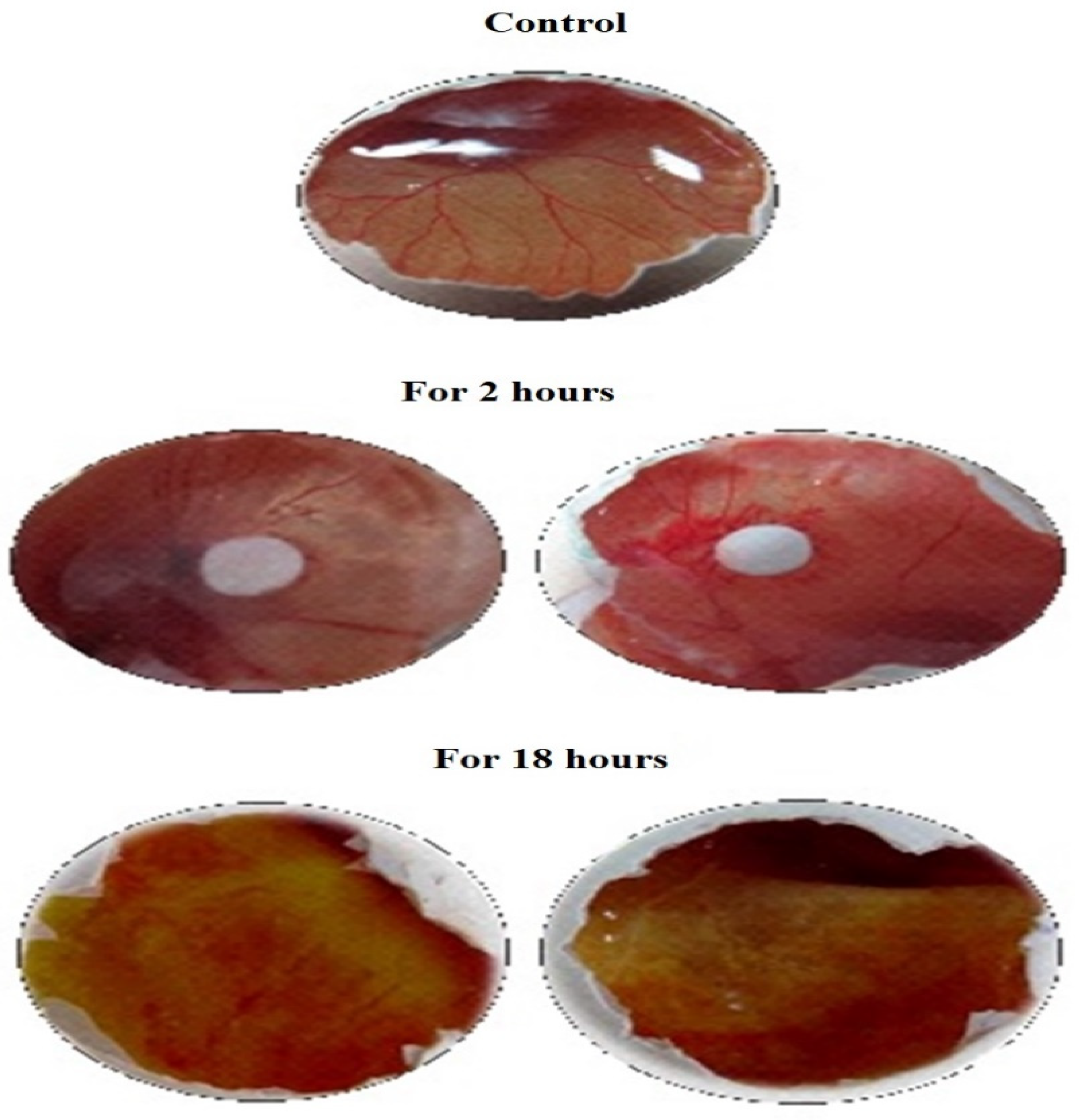 Molecules 26 00654 g001 Molecules 26 00654 g001