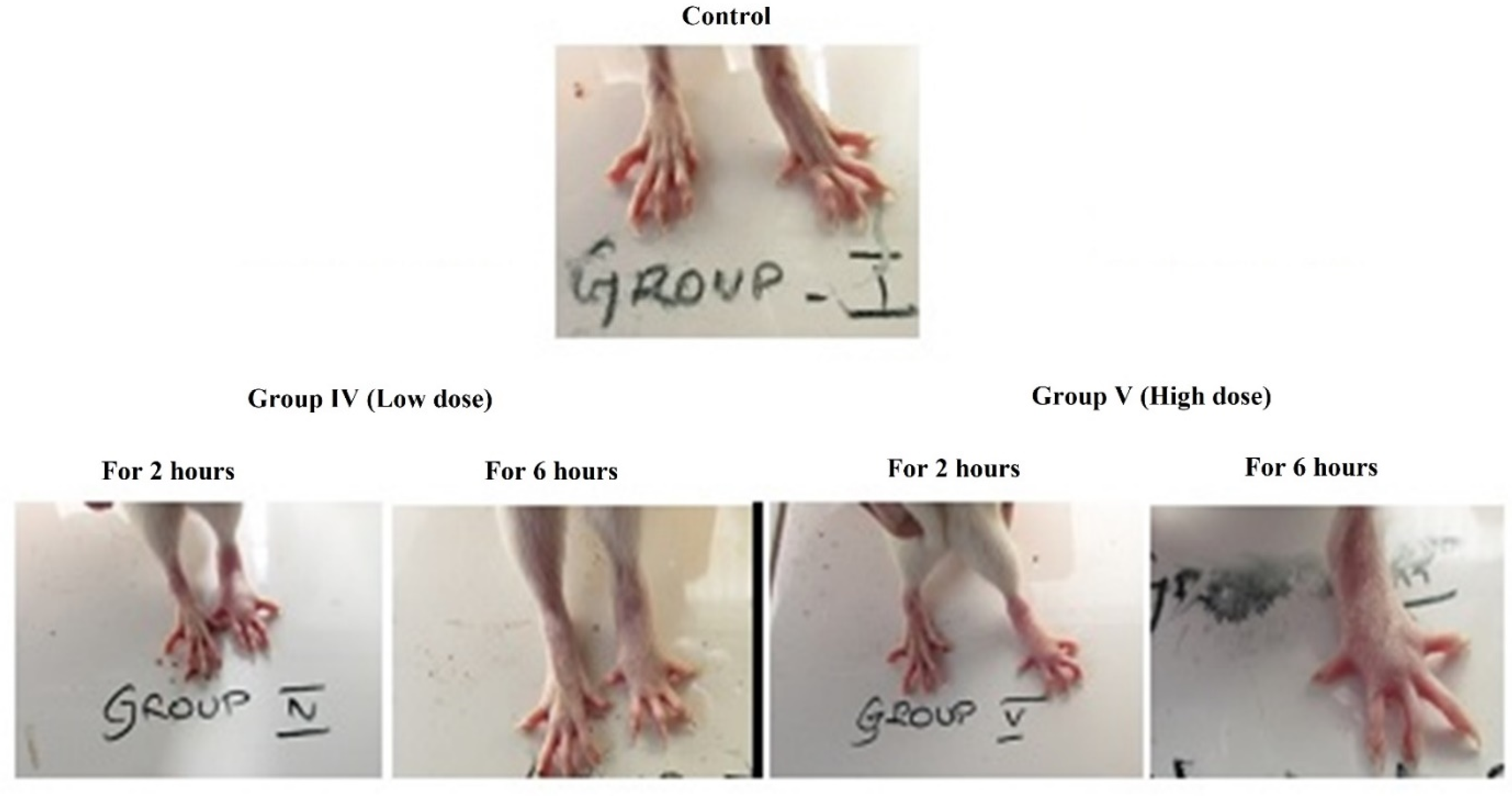 Molecules 26 00654 g005 Molecules 26 00654 g005