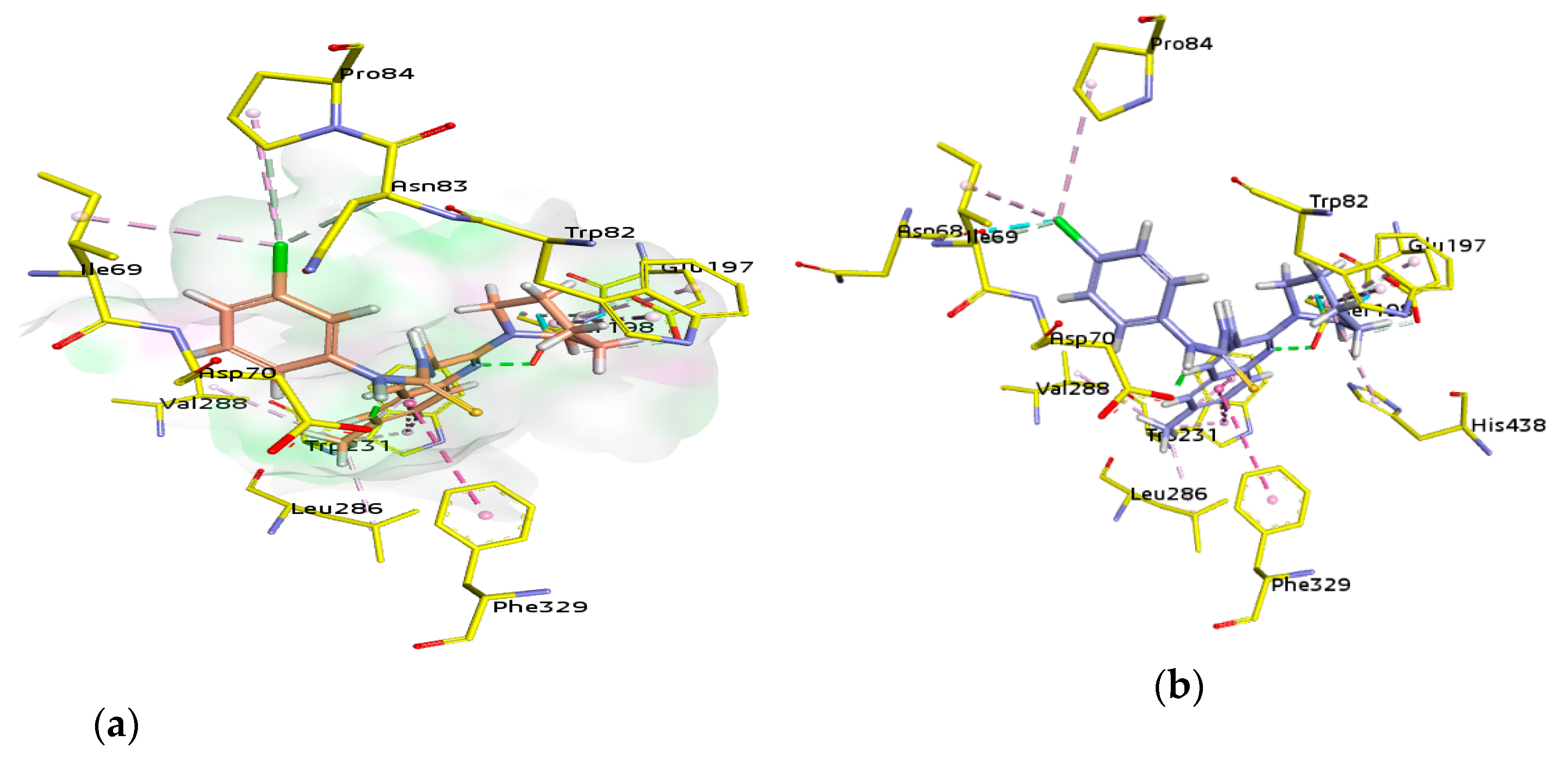 Molecules 26 00656 g009a Molecules 26 00656 g009a