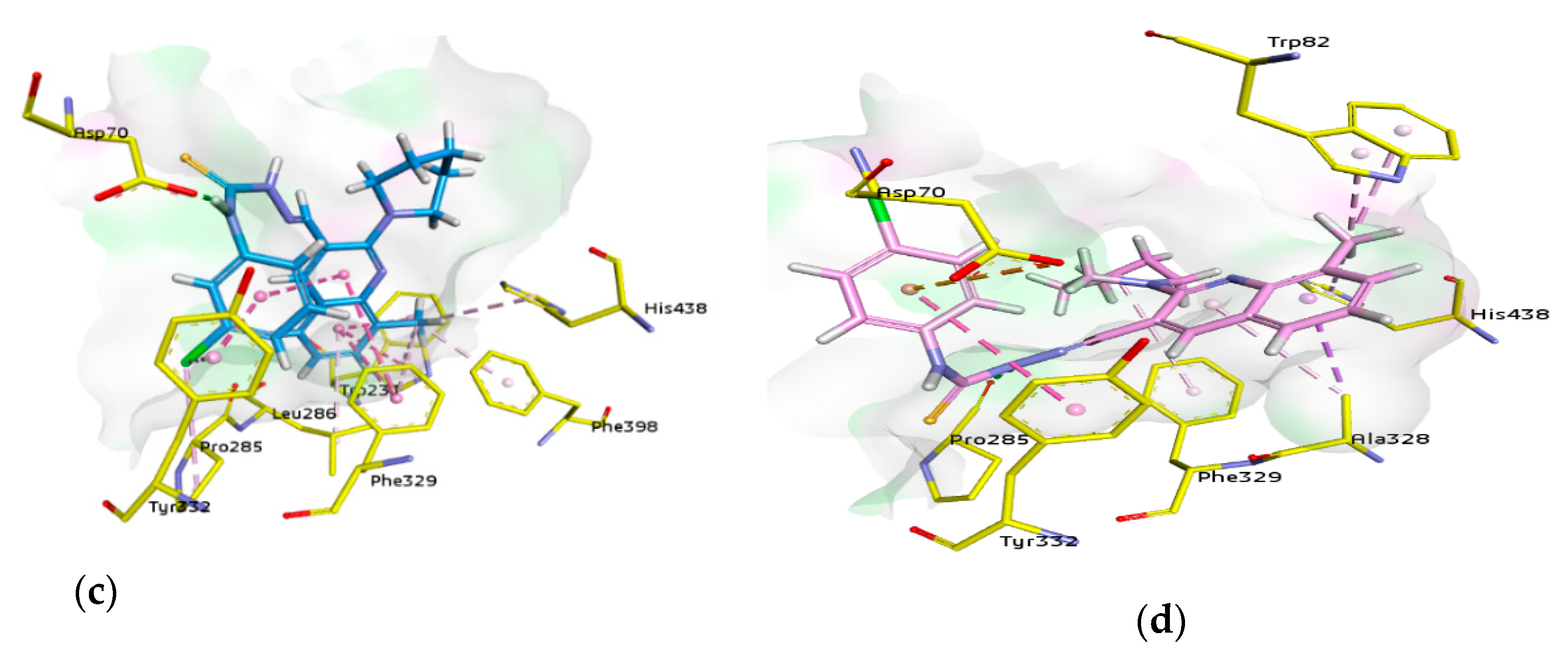 Molecules 26 00656 g009b Molecules 26 00656 g009b