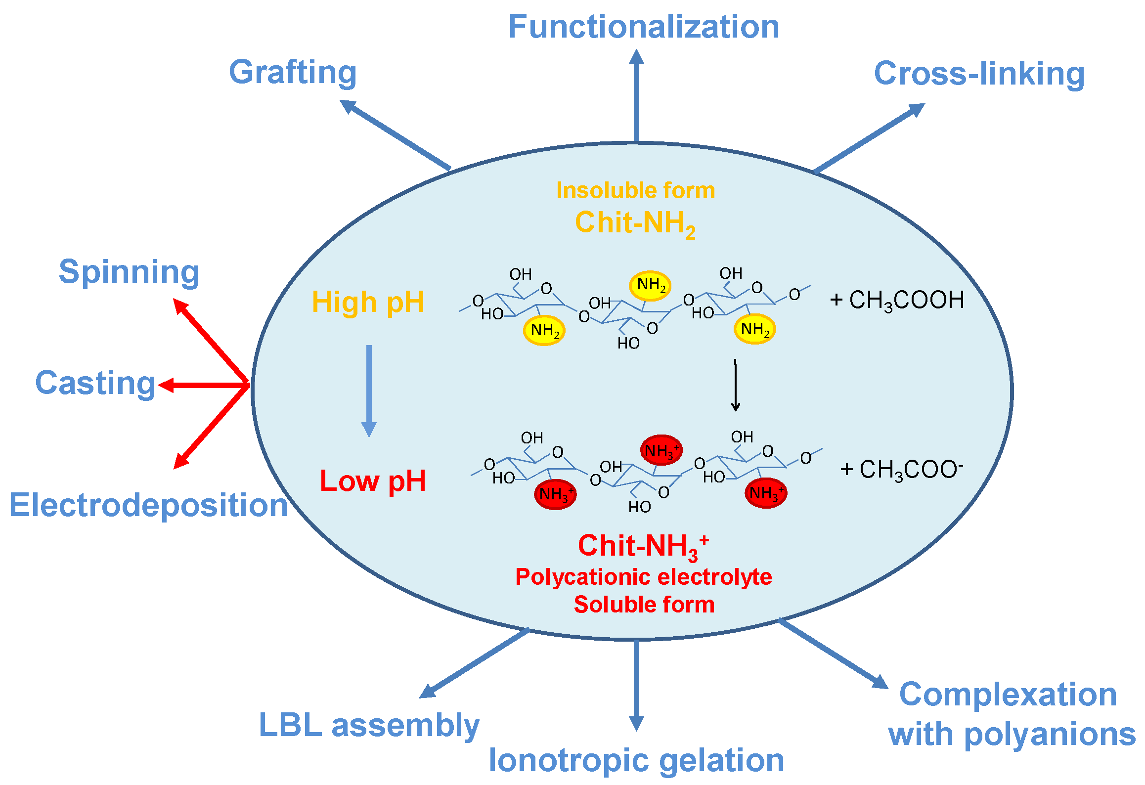 Molecules 26 00660 g002
