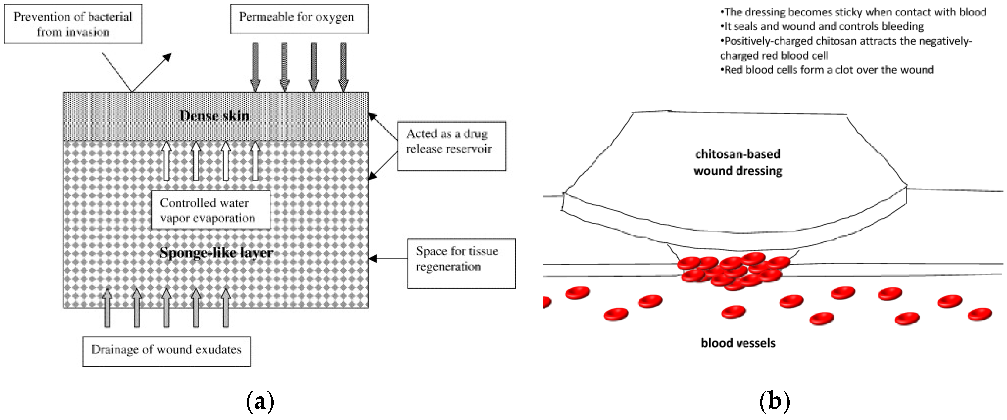 Molecules 26 00660 g005