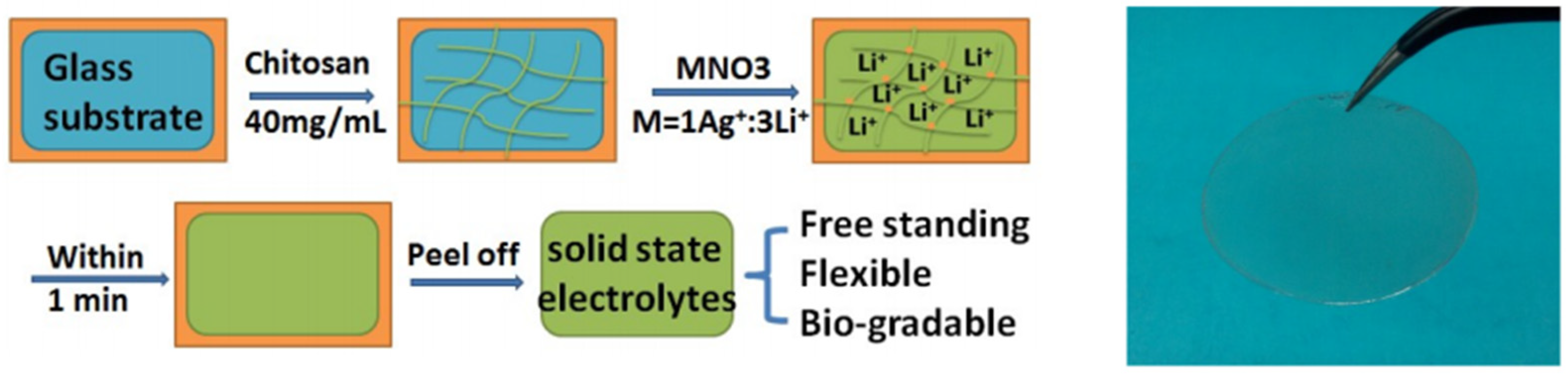 Molecules 26 00660 g006