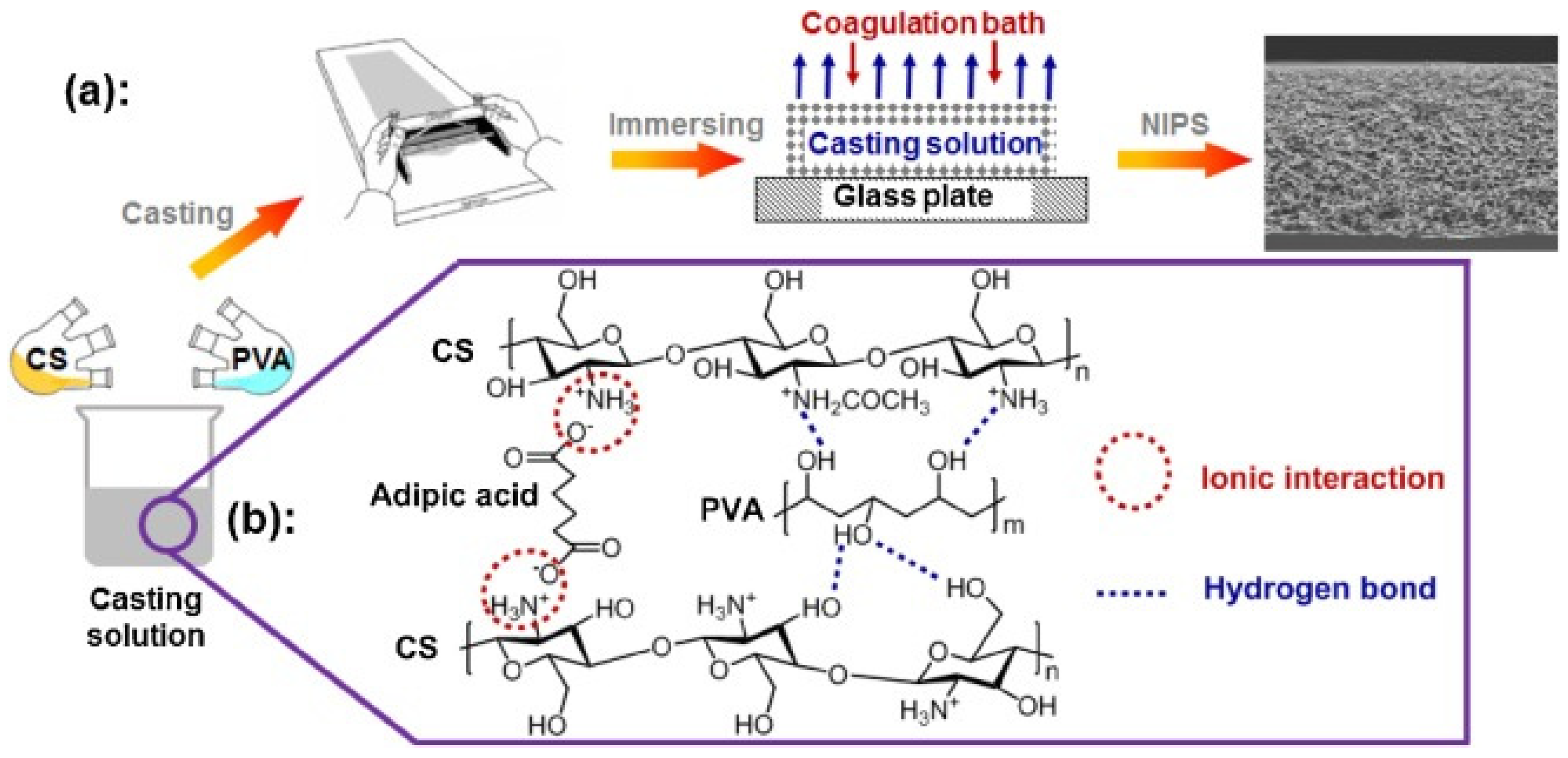 Molecules 26 00660 g007