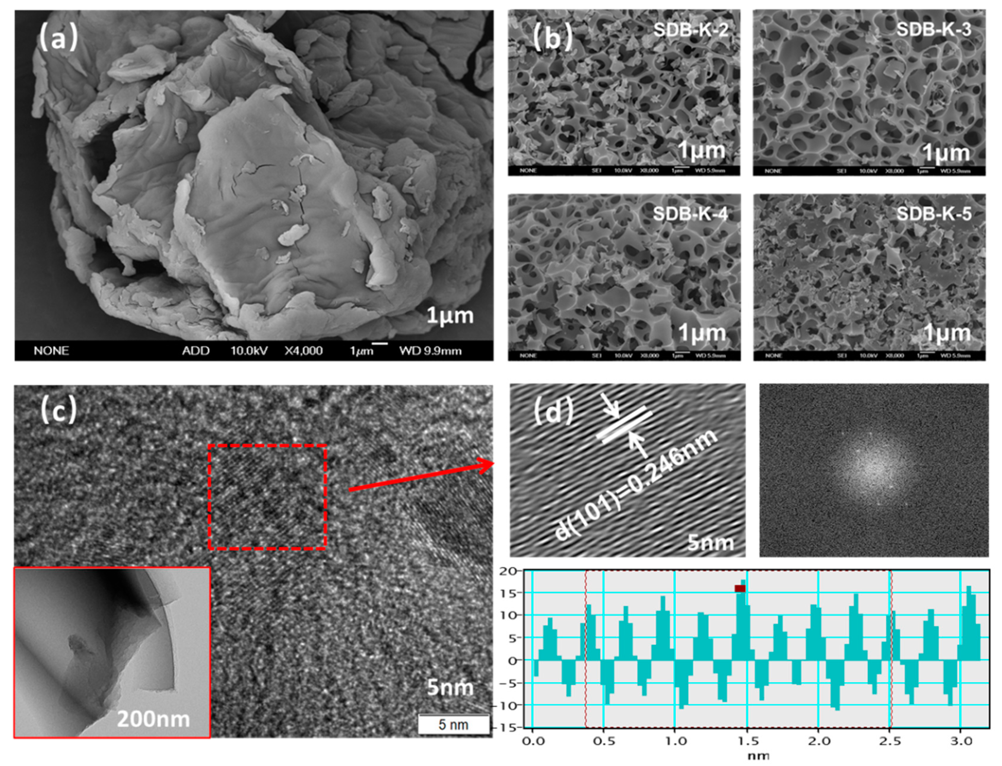 Molecules 26 00661 g001