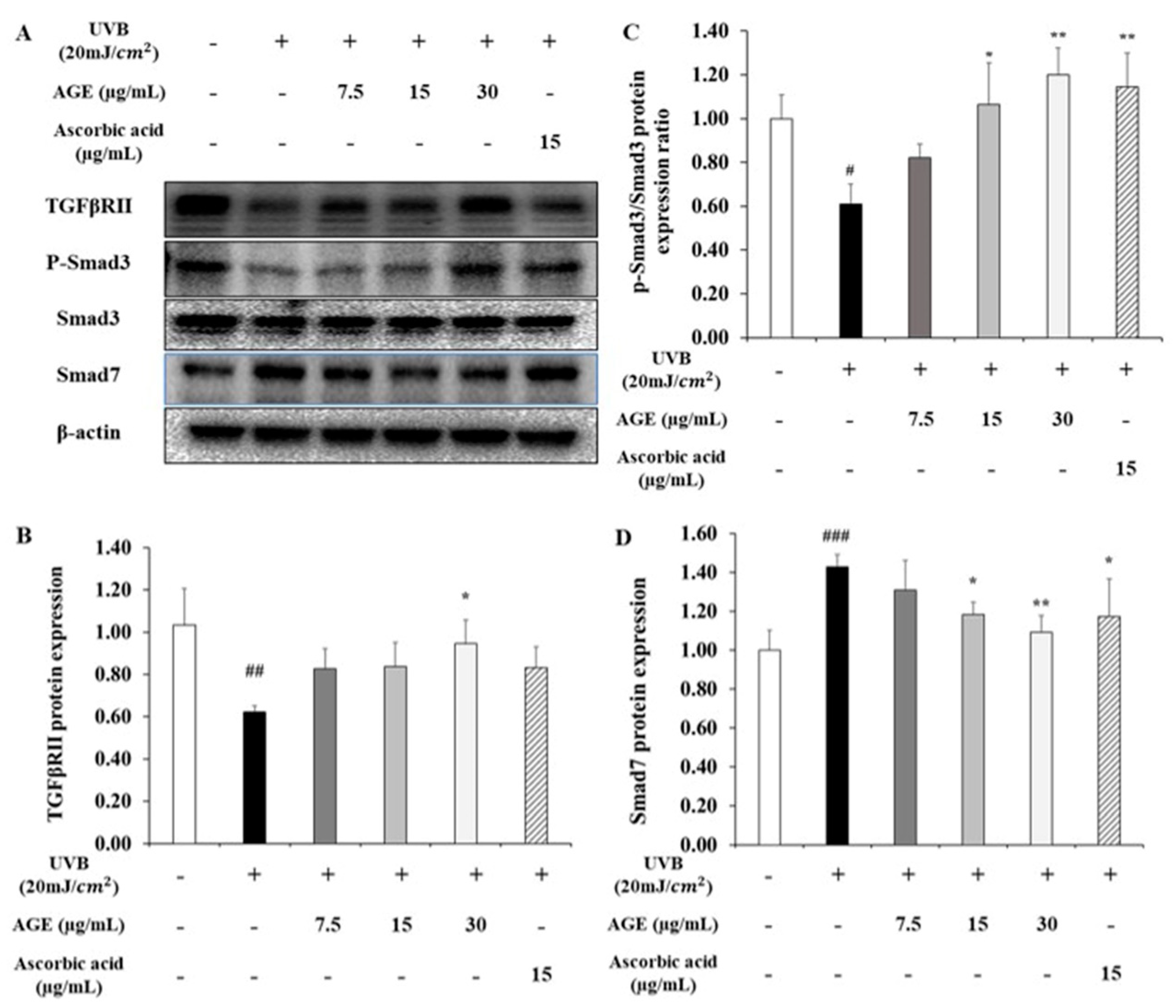 Molecules 26 00662 g008 Molecules 26 00662 g008