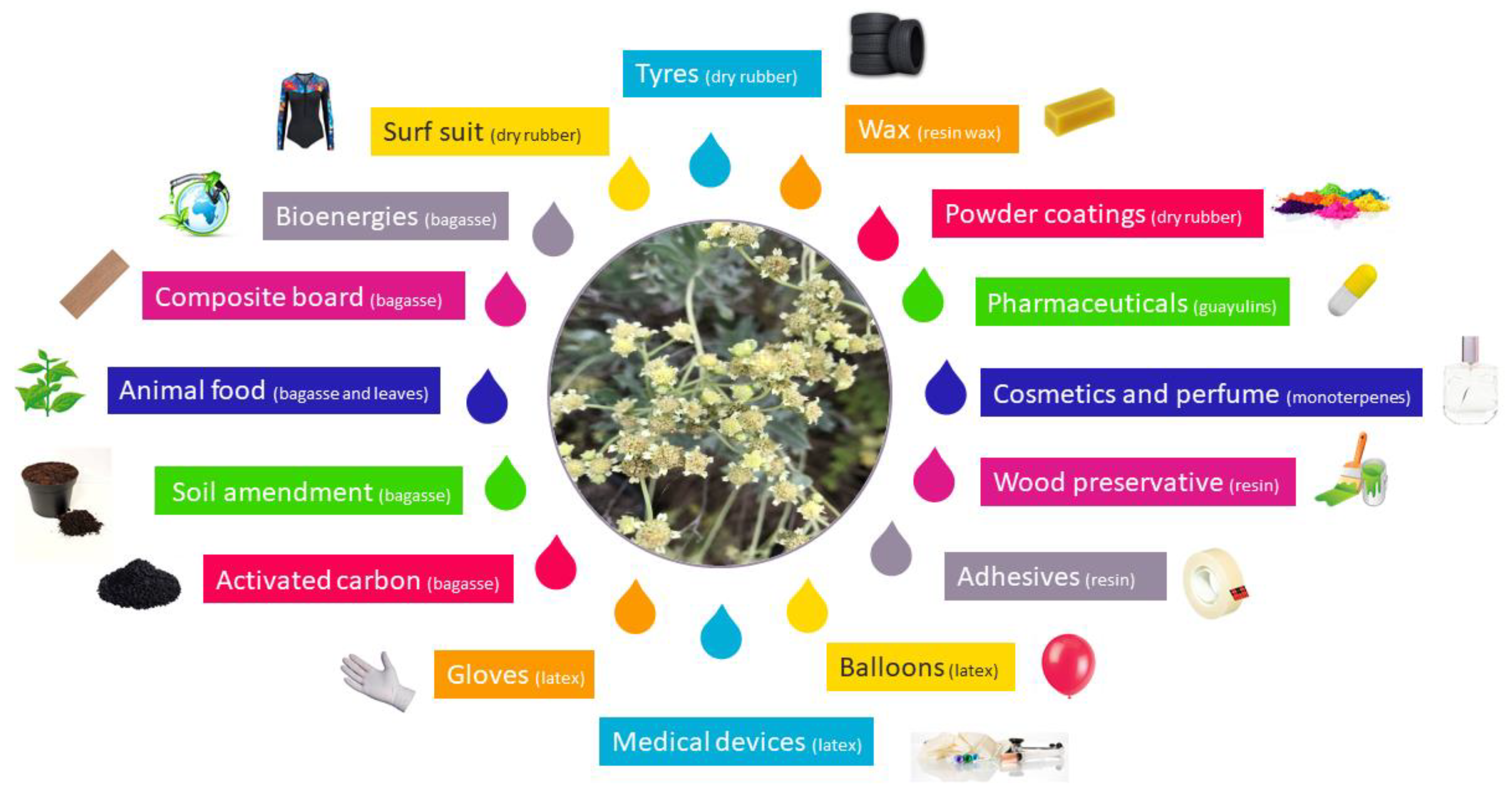 Molecules 26 00664 g011 Molecules 26 00664 g011