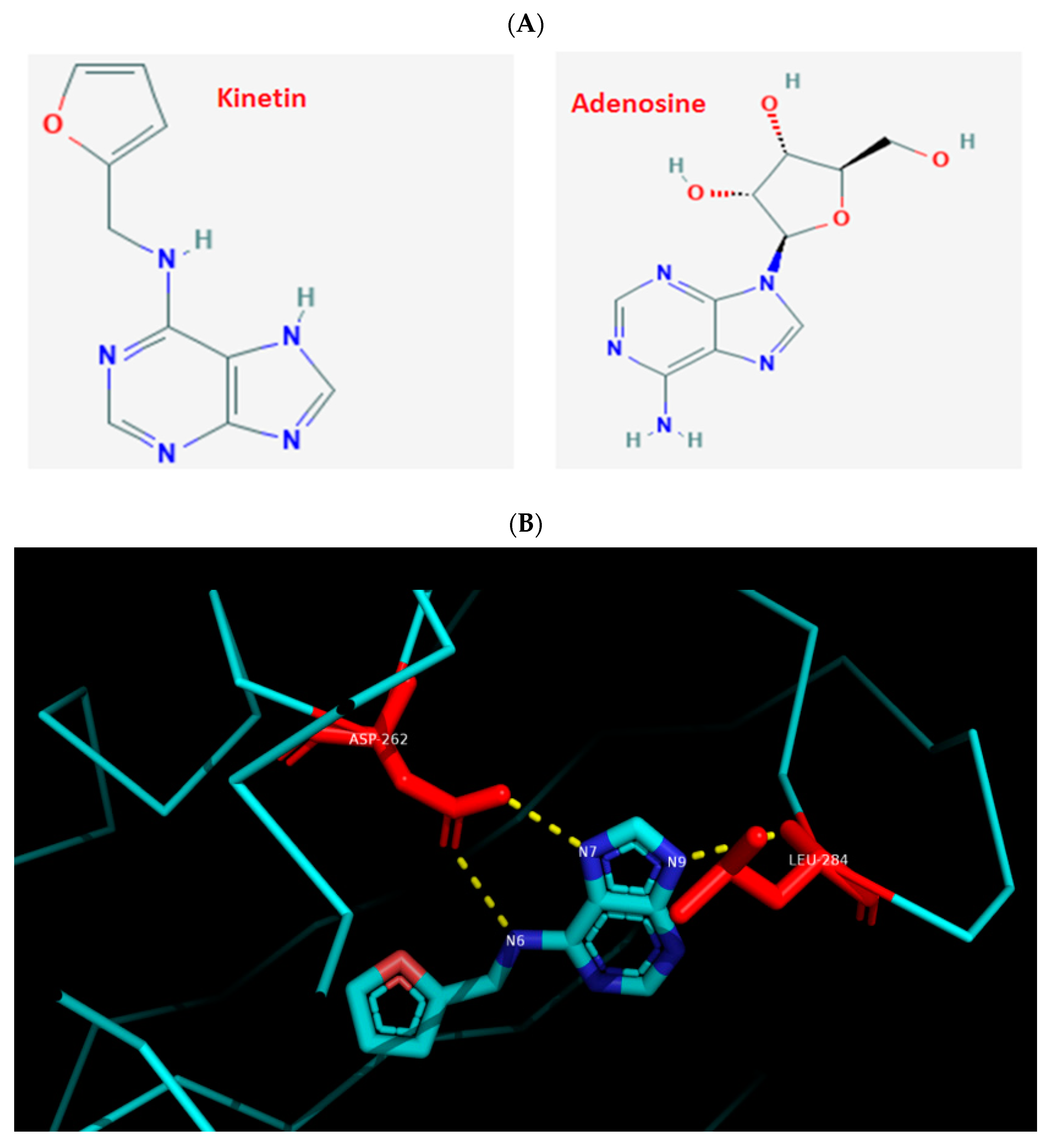Molecules 26 00670 g001a Molecules 26 00670 g001a