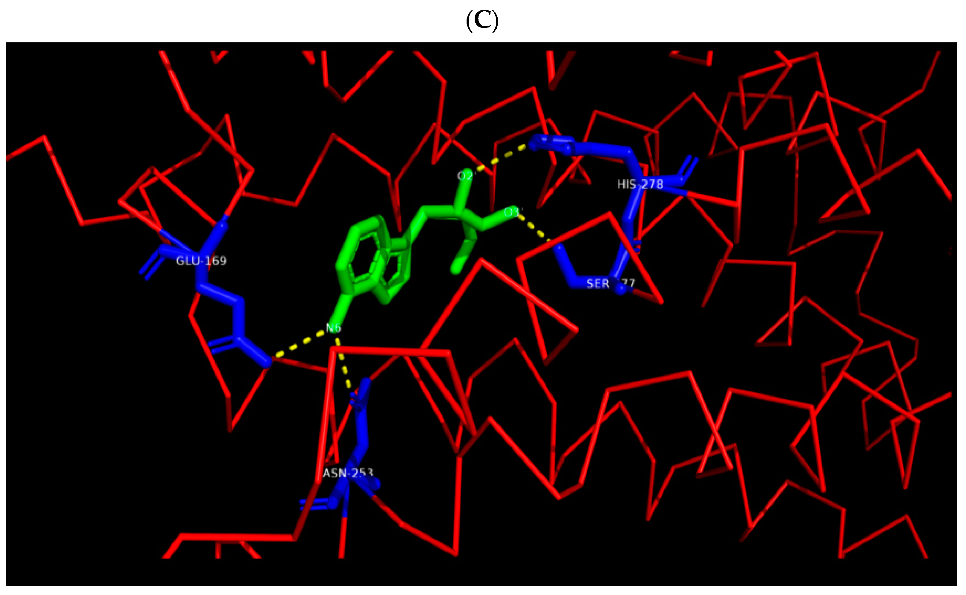 Molecules 26 00670 g001b Molecules 26 00670 g001b