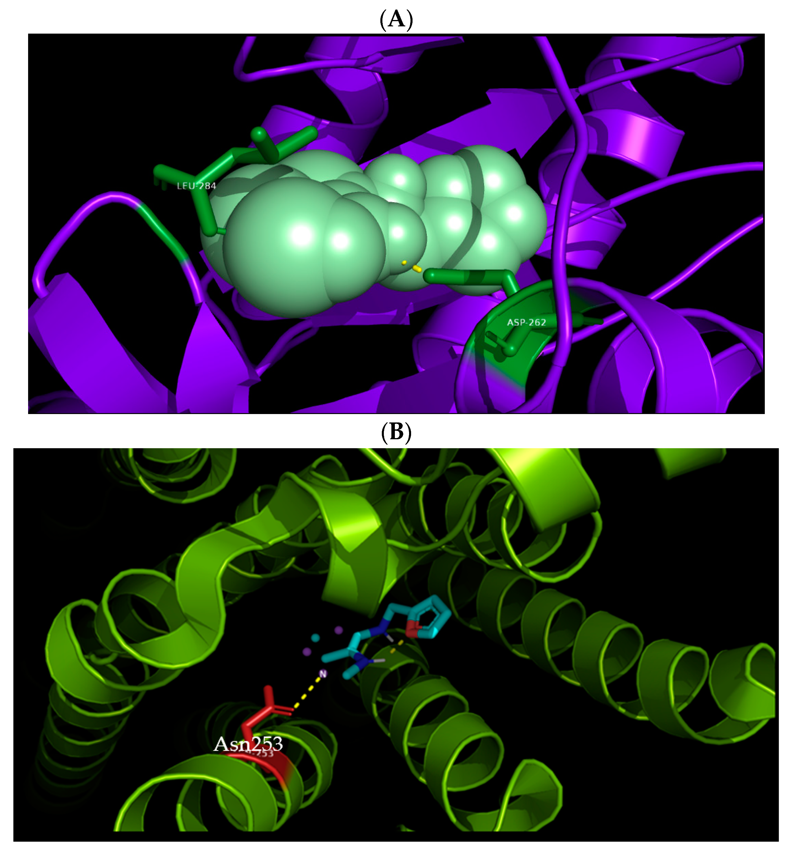 Molecules 26 00670 g002 Molecules 26 00670 g002
