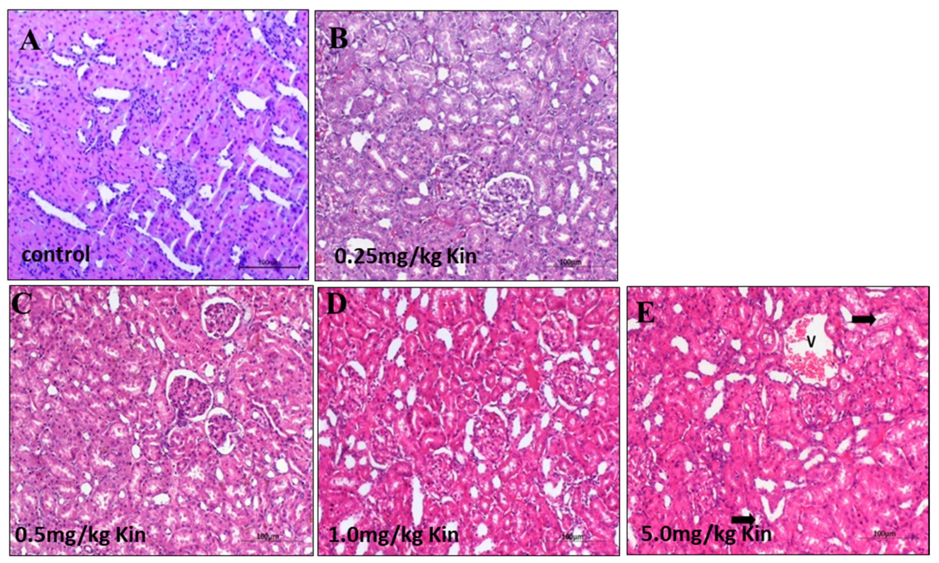 Molecules 26 00670 g005 Molecules 26 00670 g005