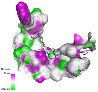 Molecules 26 00673 i002 Molecules 26 00673 i002