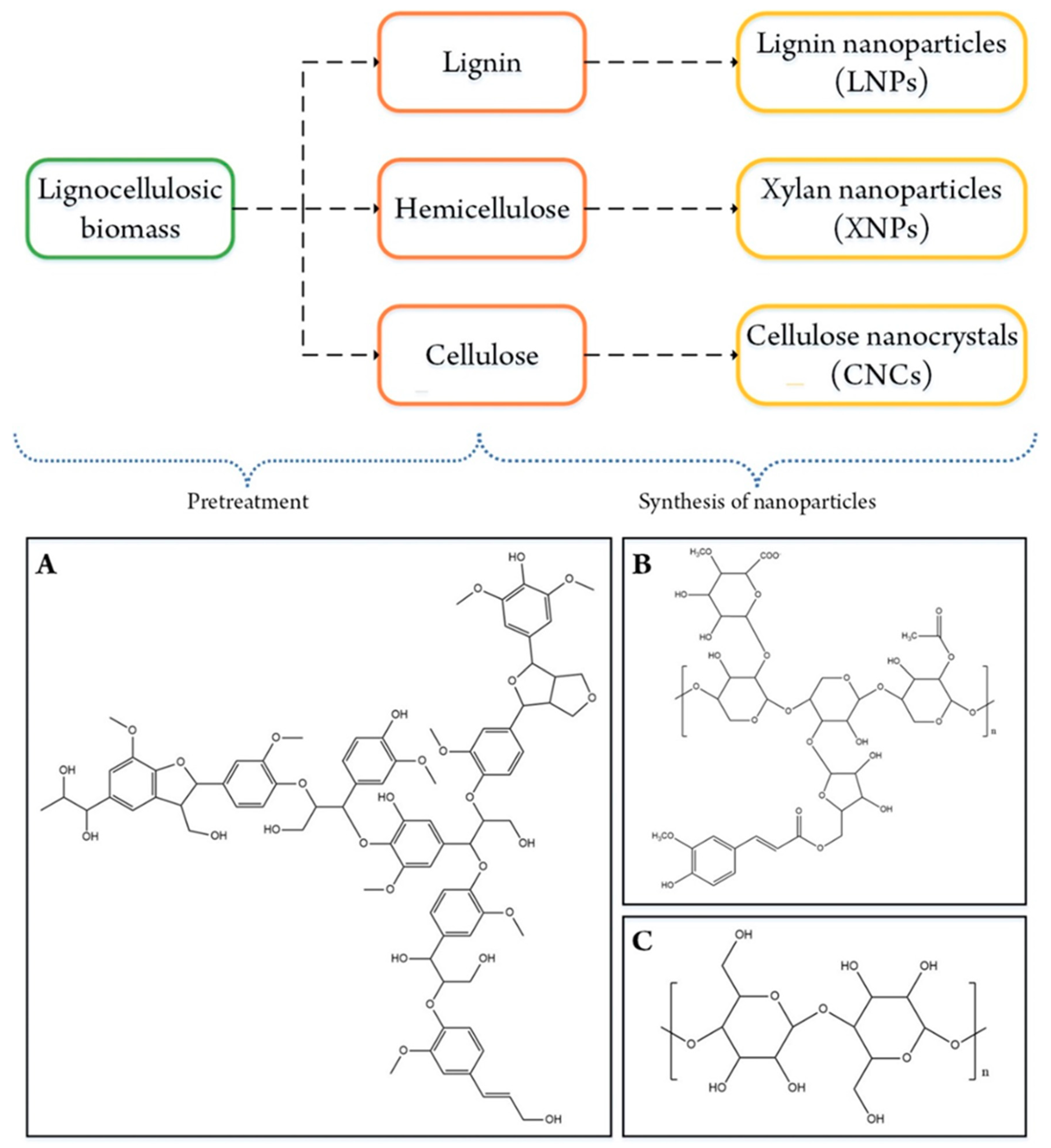 Molecules 26 00676 g001 Molecules 26 00676 g001
