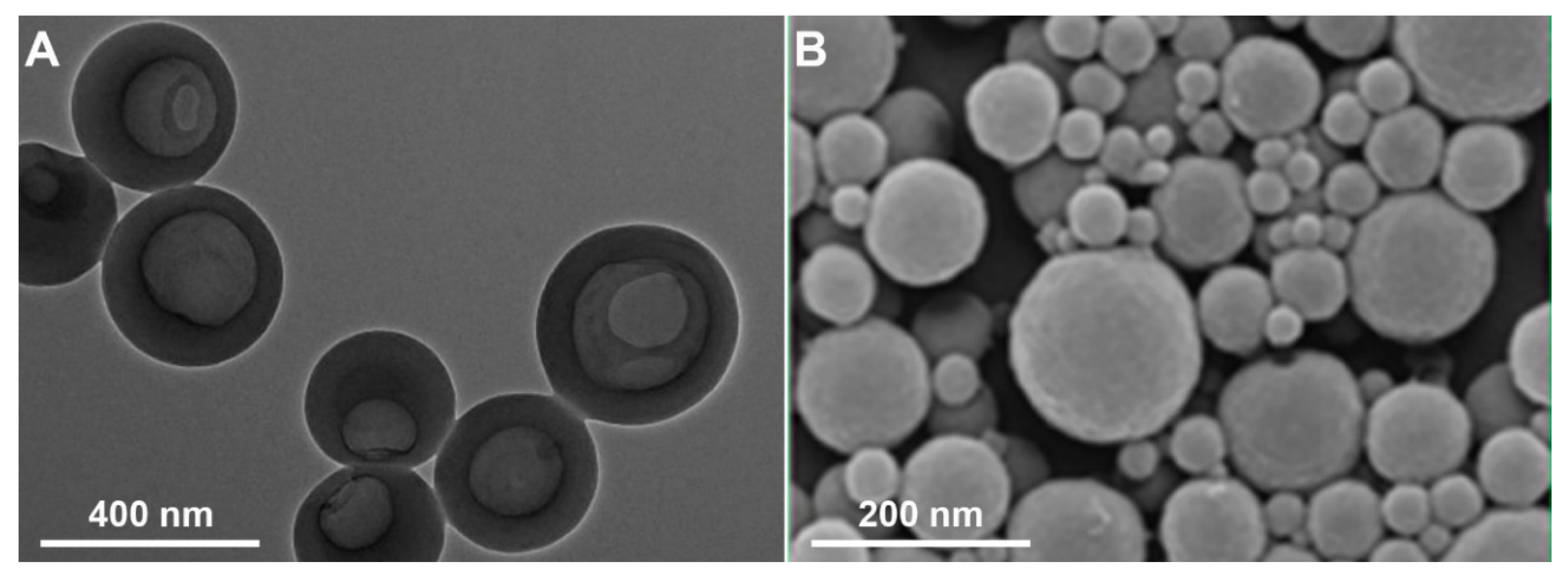 Molecules 26 00676 g002 Molecules 26 00676 g002