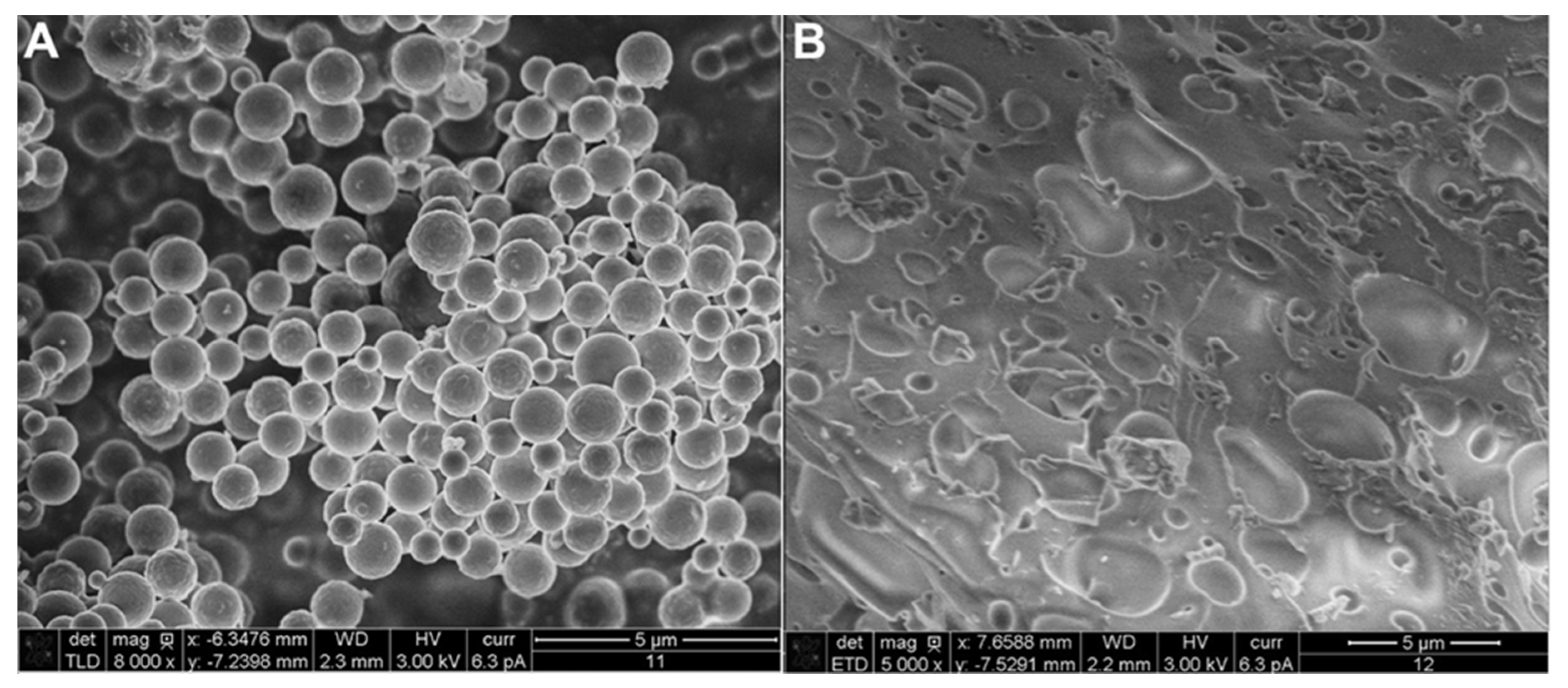 Molecules 26 00676 g003 Molecules 26 00676 g003
