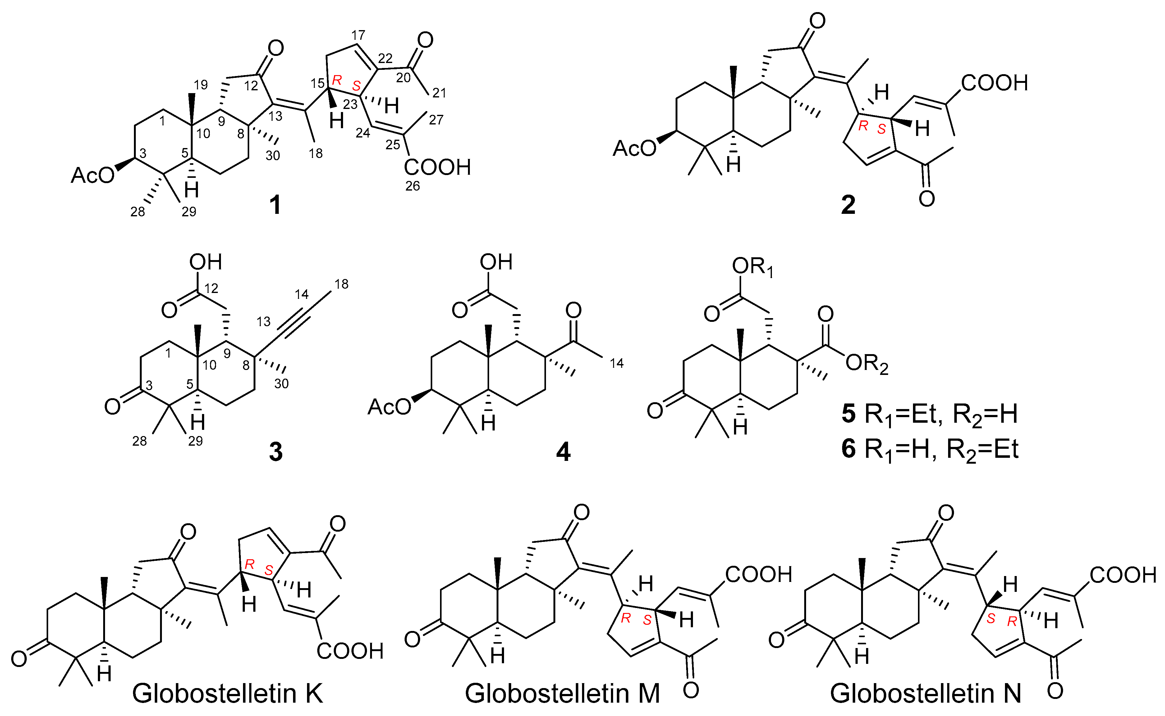Molecules 26 00678 g001 Molecules 26 00678 g001