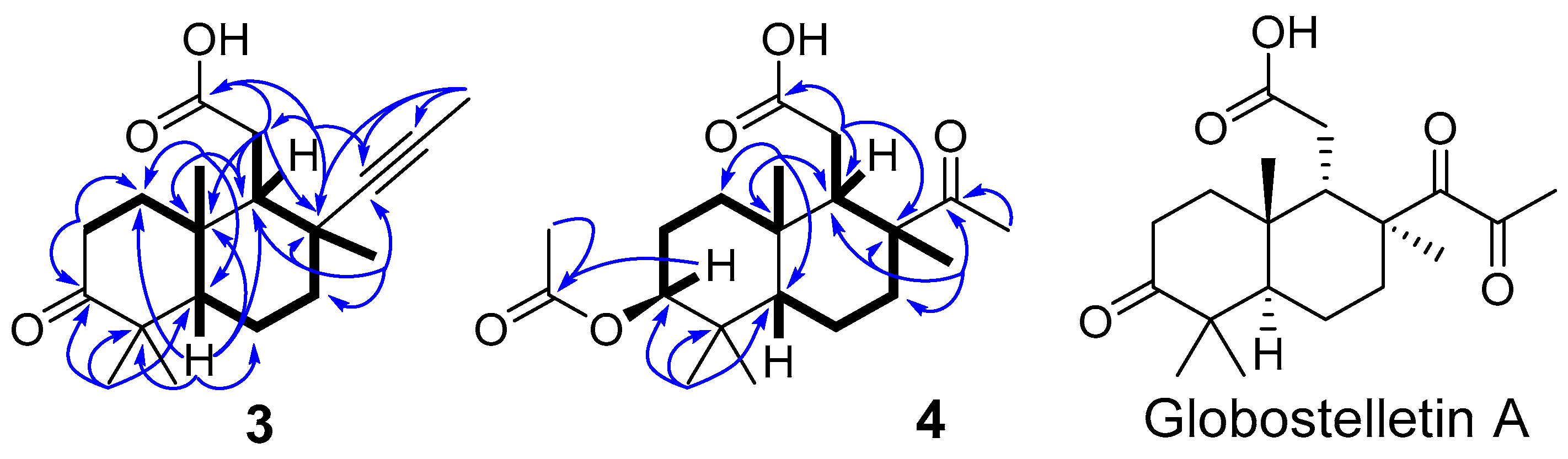 Molecules 26 00678 g005 Molecules 26 00678 g005