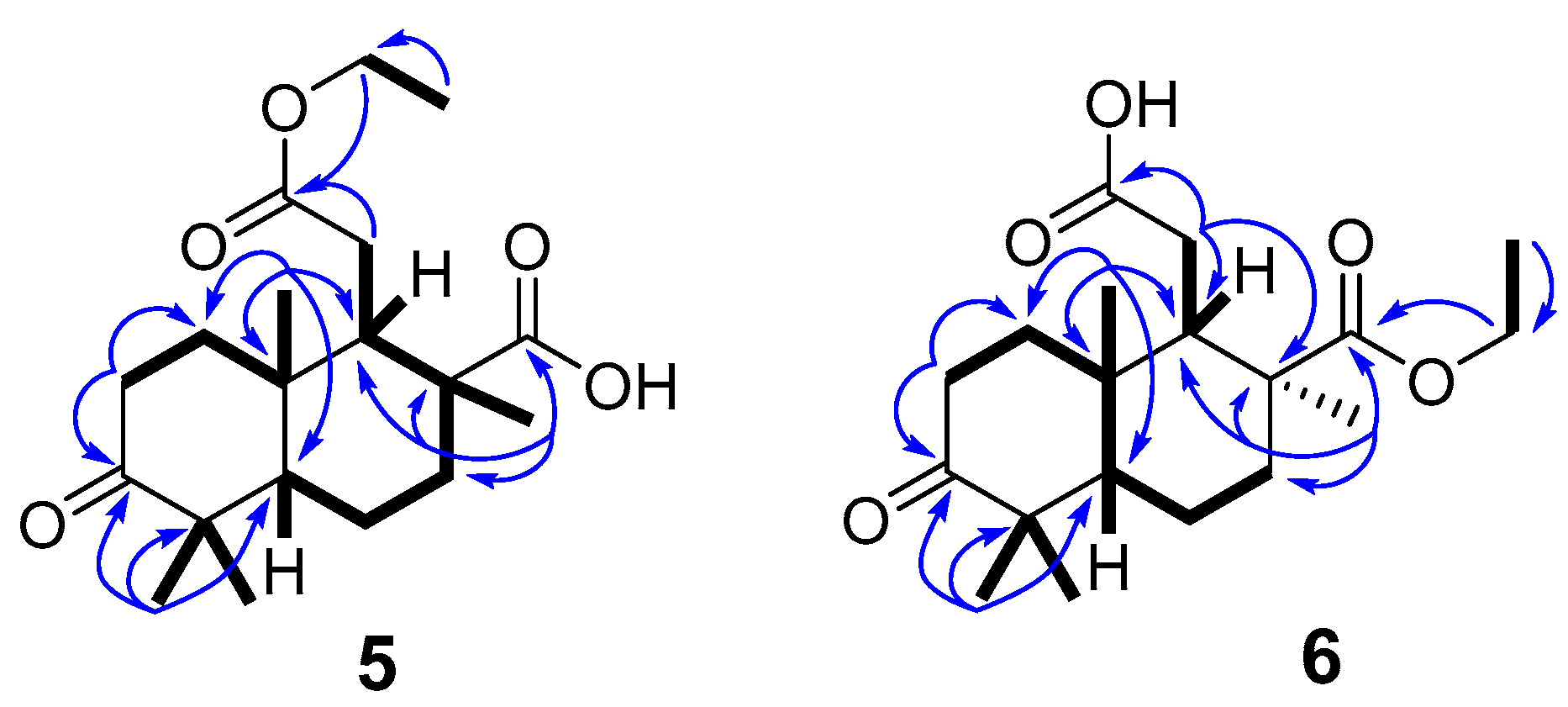 Molecules 26 00678 g007 Molecules 26 00678 g007