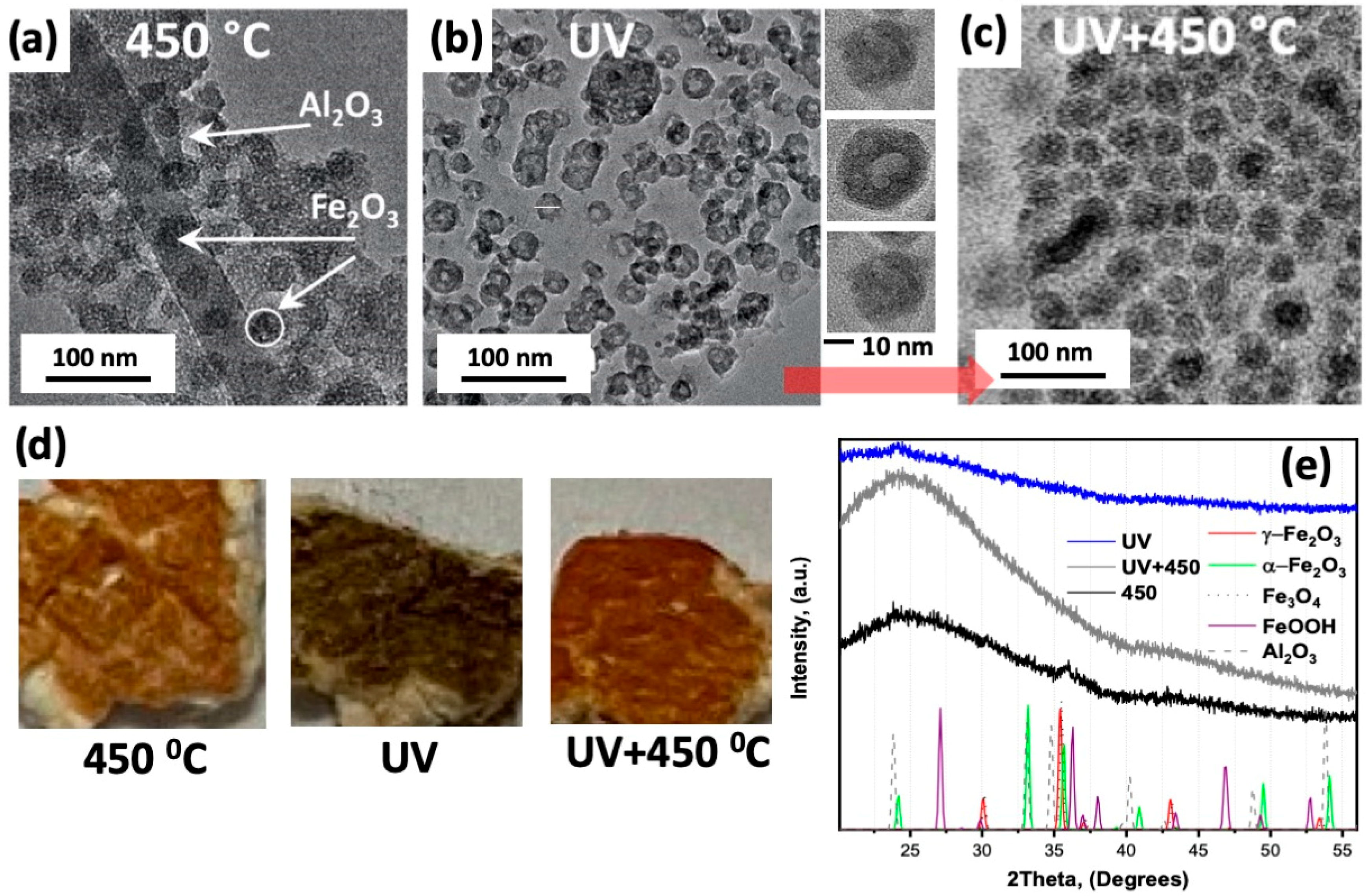 Molecules 26 00679 g003