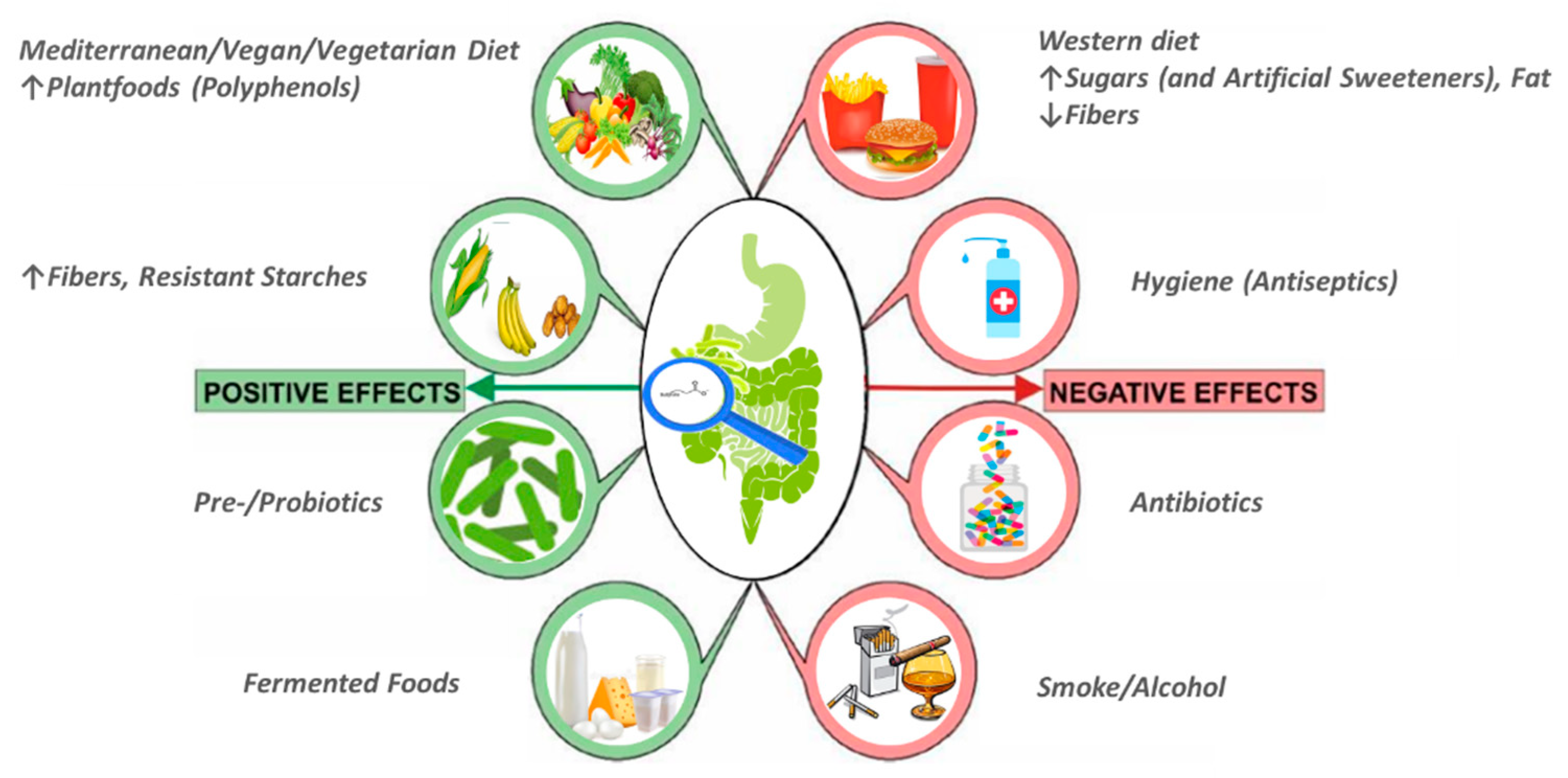Molecules 26 00682 g001
