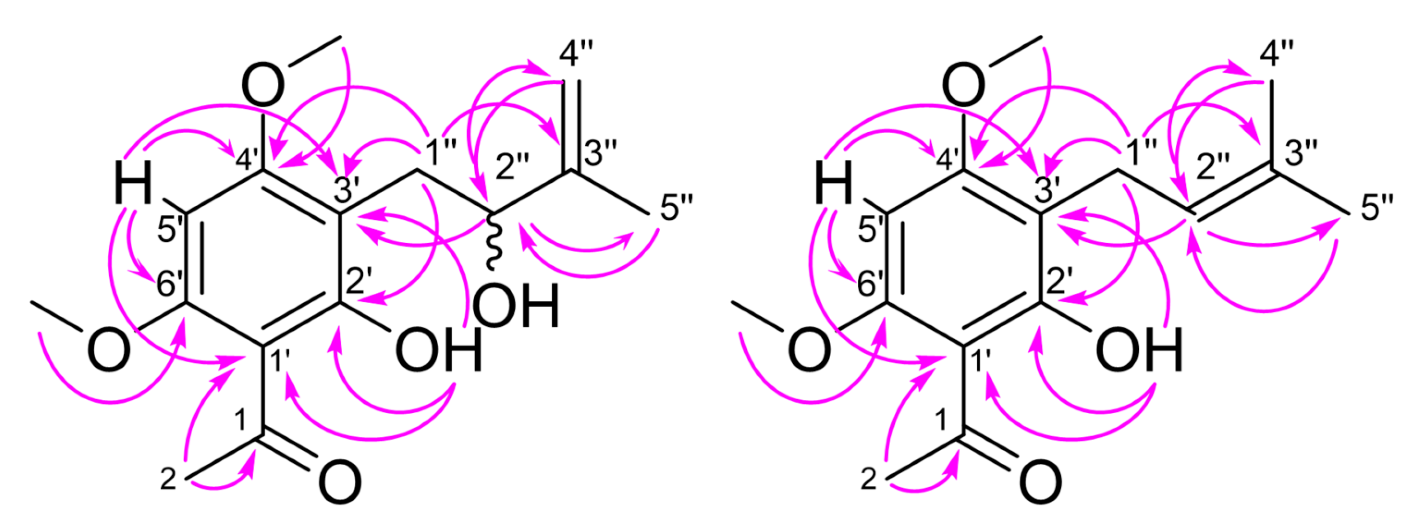 Molecules 26 00688 g002
