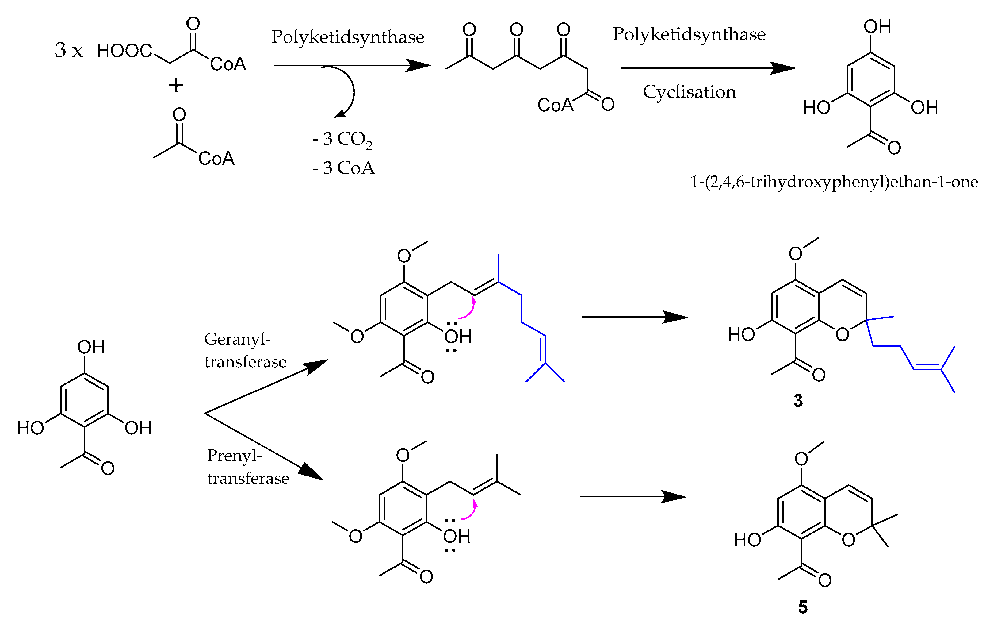 Molecules 26 00688 g004