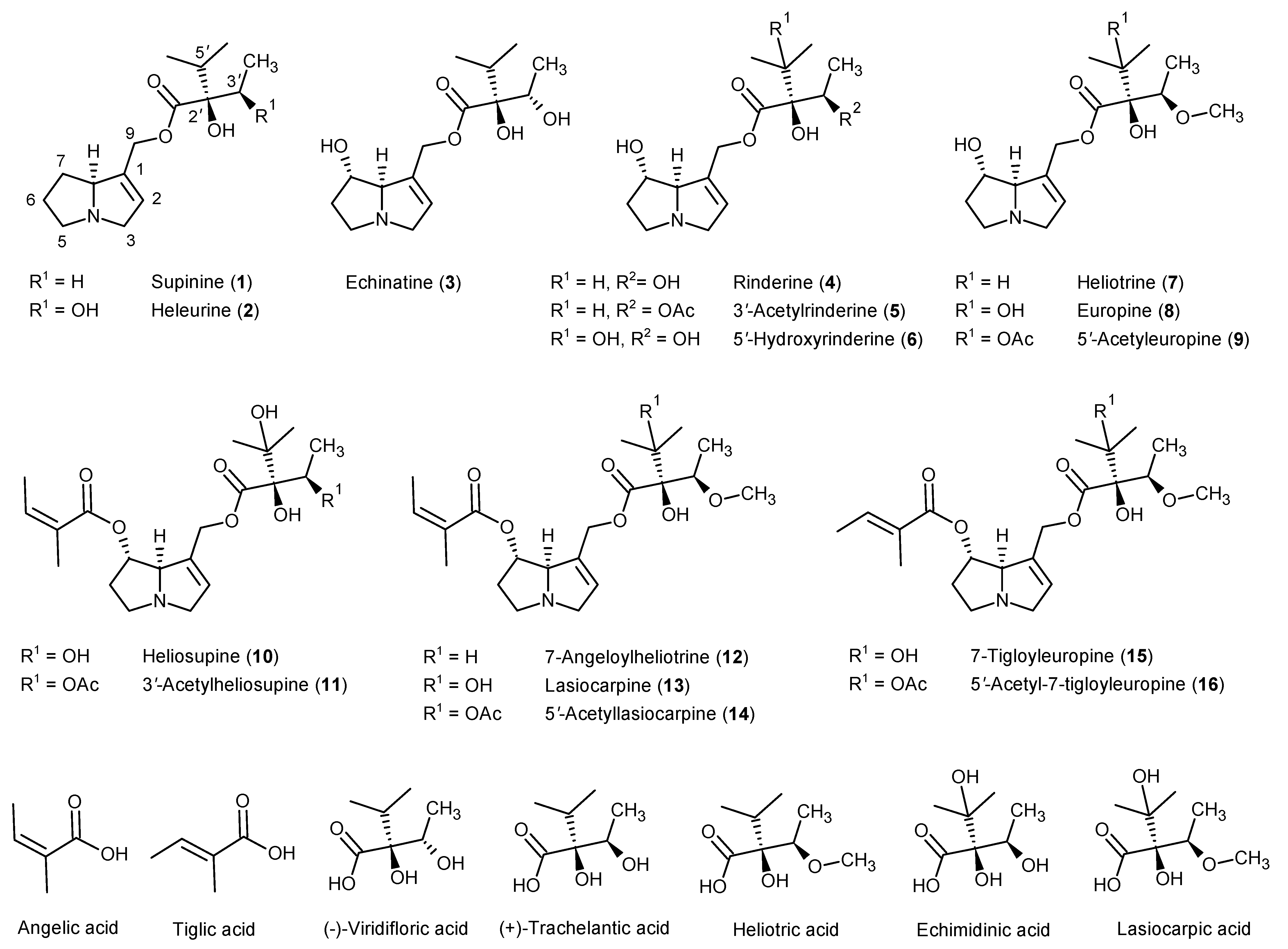 Molecules 26 00689 g001