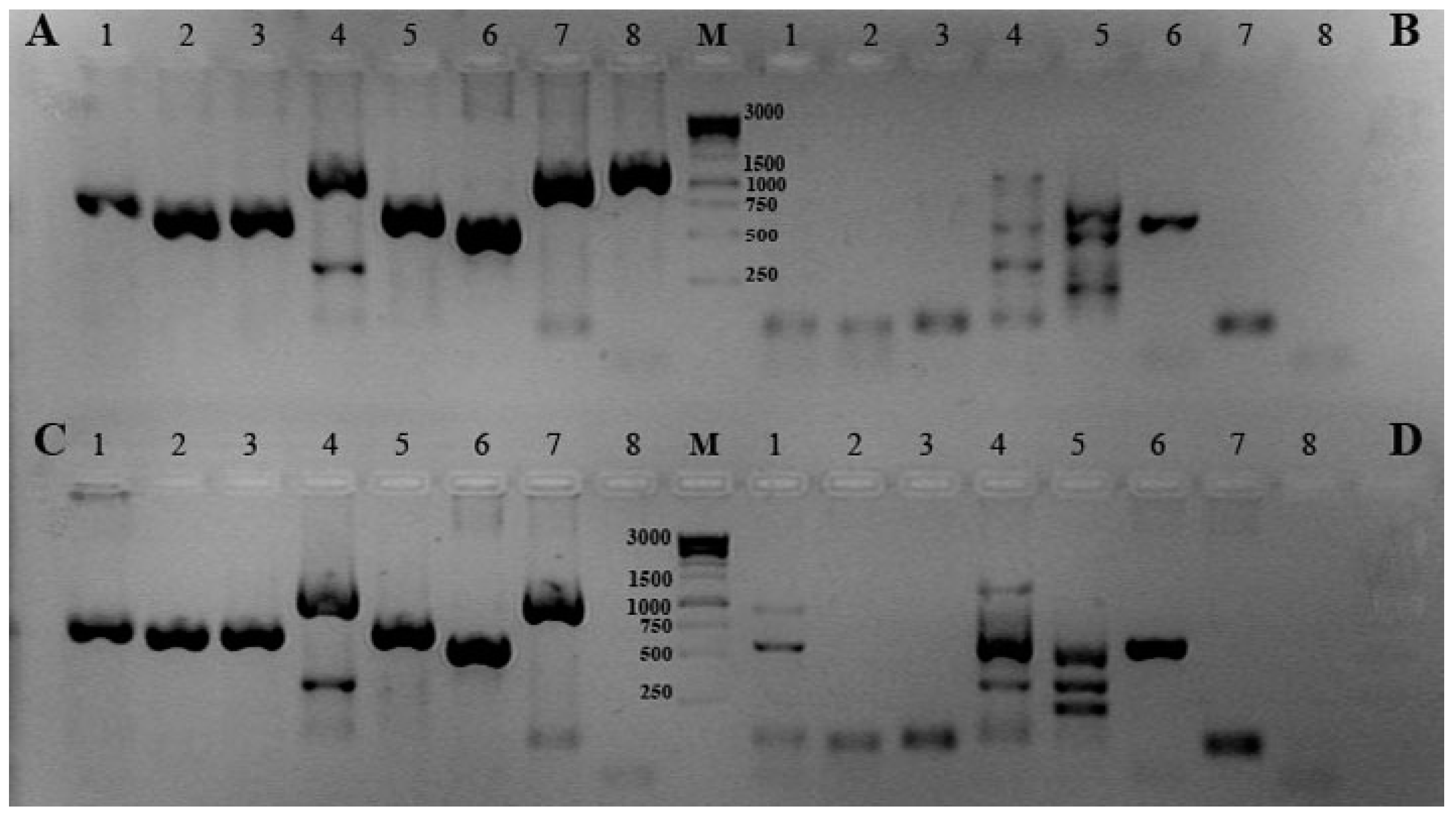 Molecules 26 00690 g001