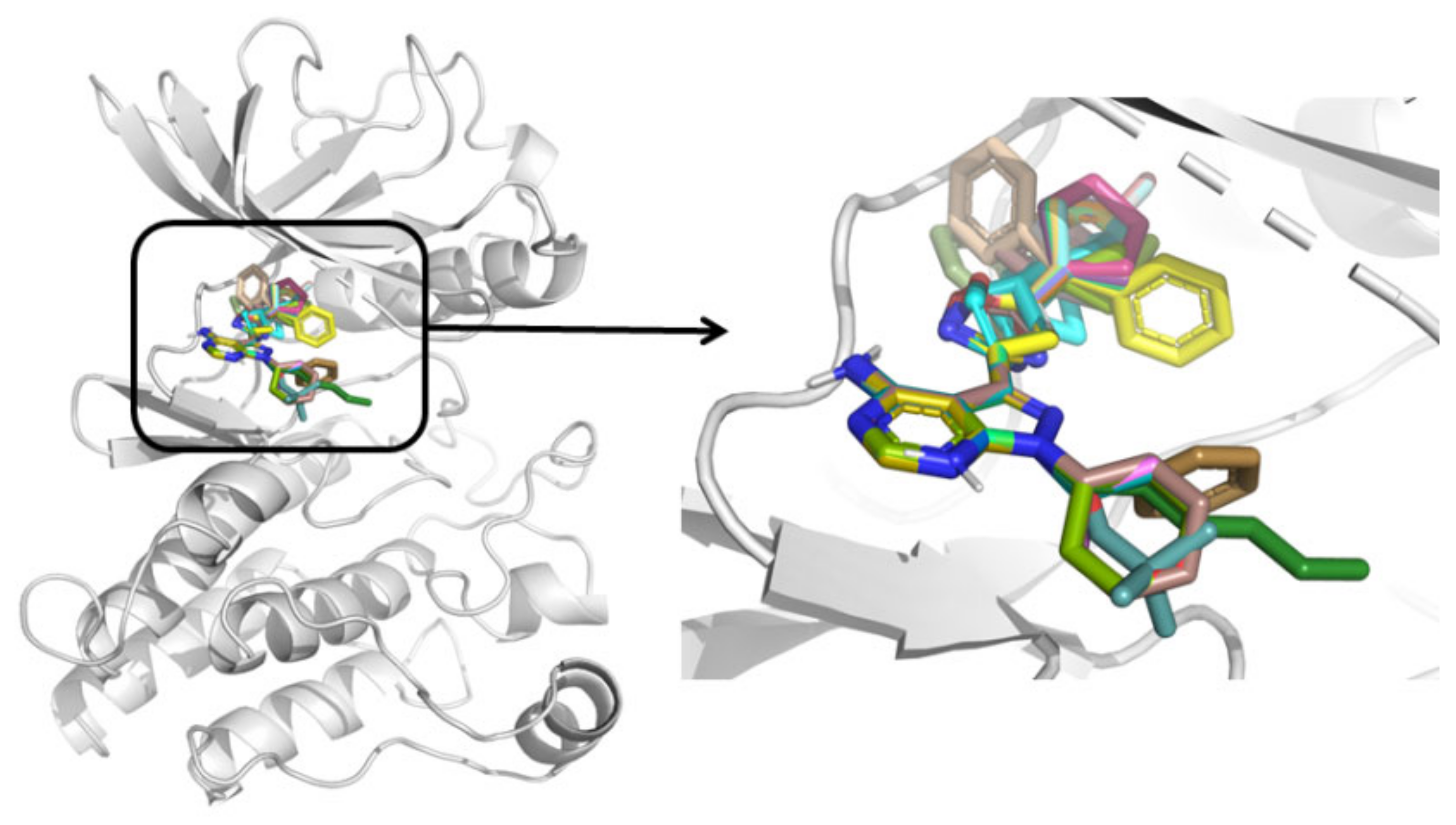 Molecules 26 00691 g005 Molecules 26 00691 g005