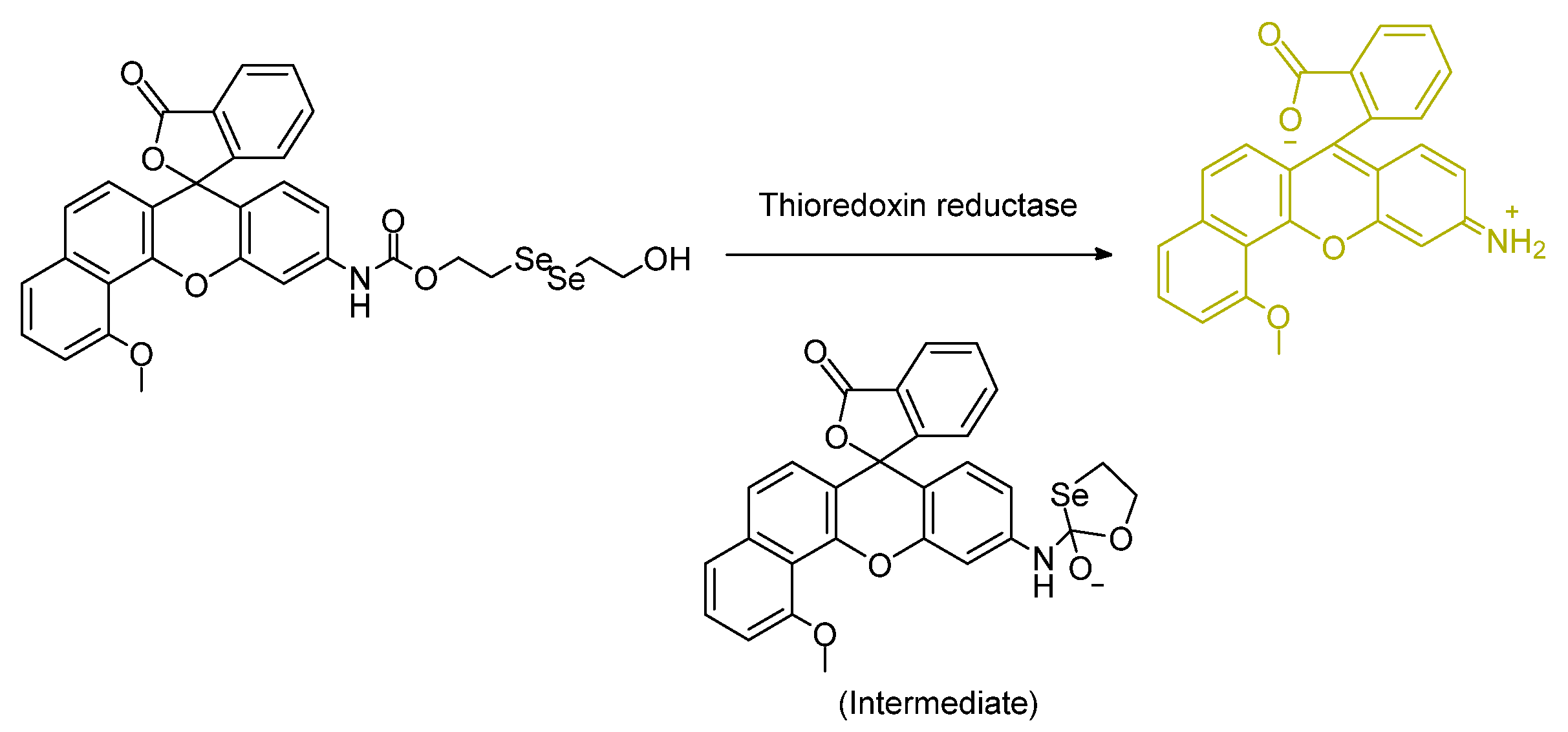 Molecules 26 00692 g012