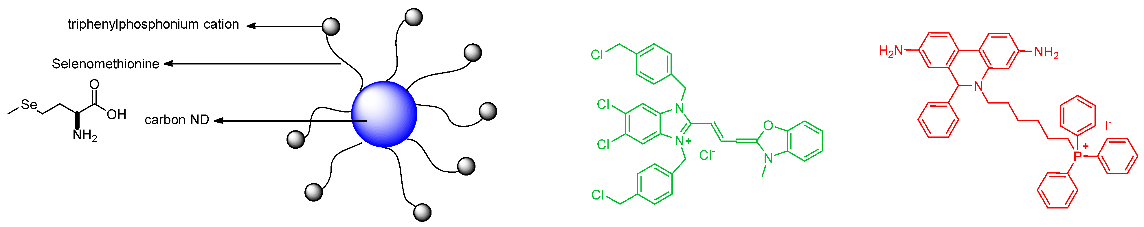 Molecules 26 00692 g015