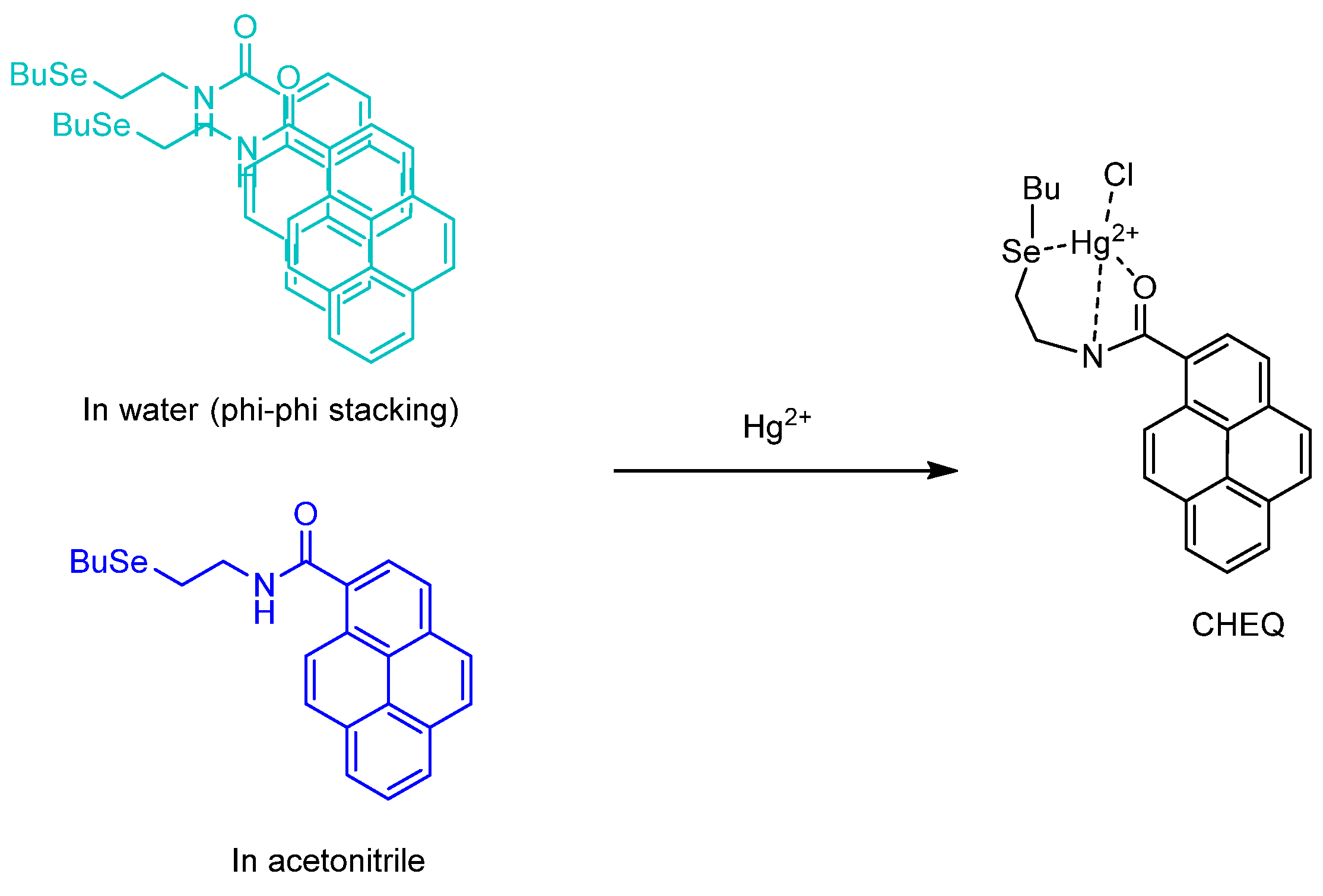 Molecules 26 00692 g017