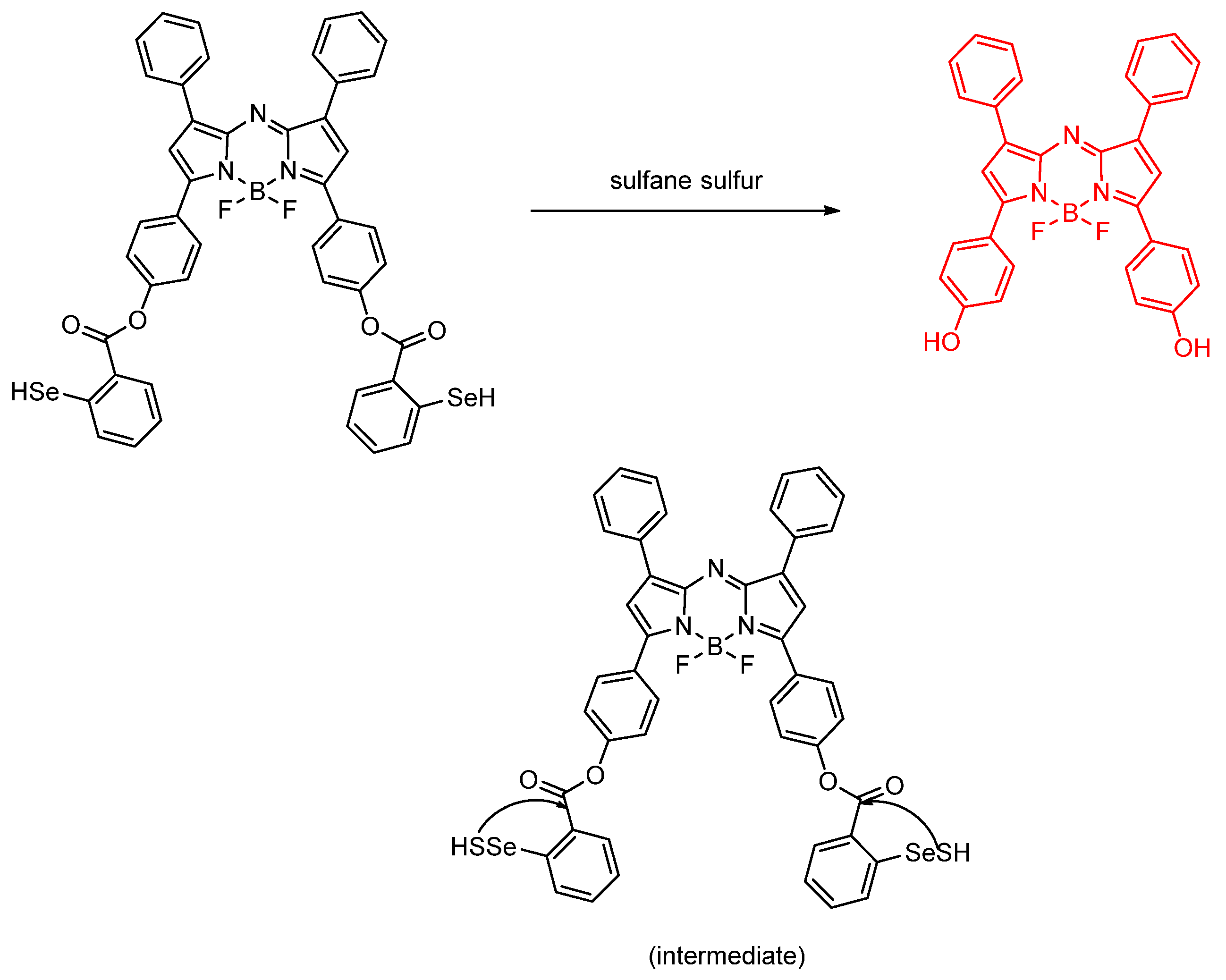 Molecules 26 00692 g019