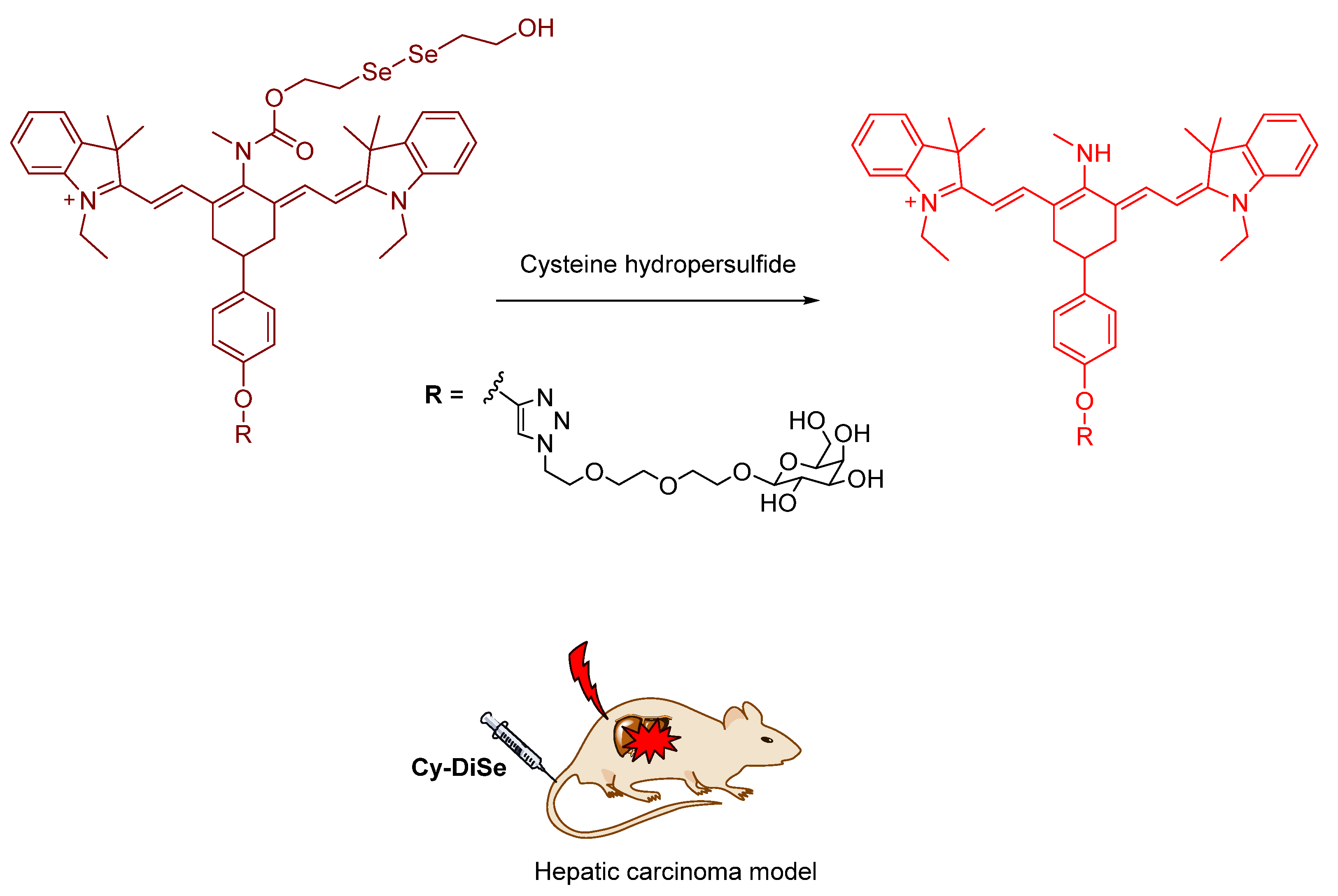 Molecules 26 00692 g034