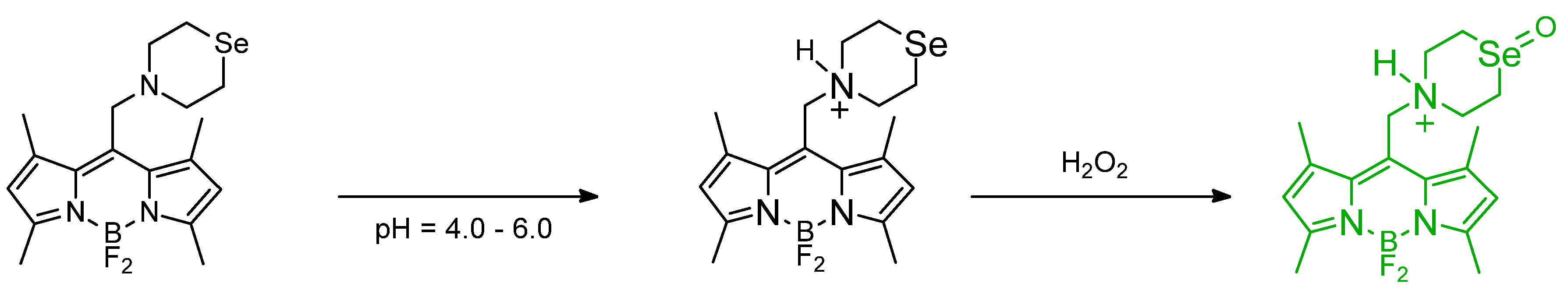 Molecules 26 00692 g041