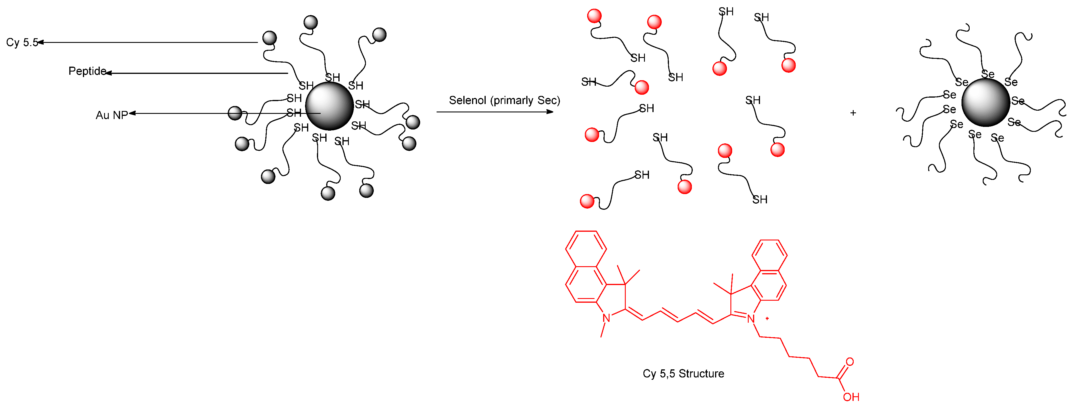 Molecules 26 00692 g046
