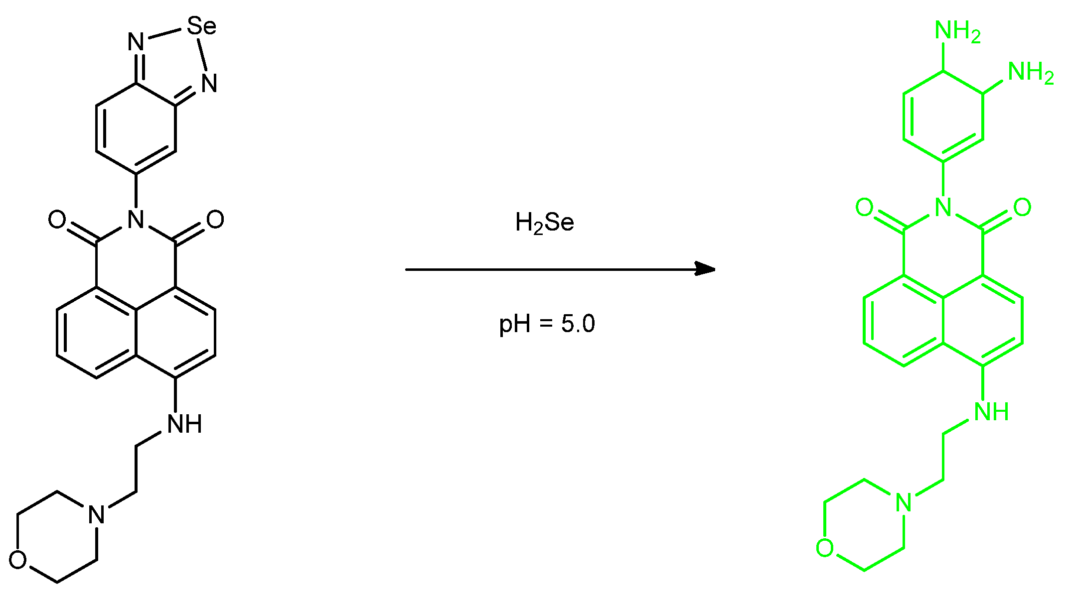 Molecules 26 00692 g053