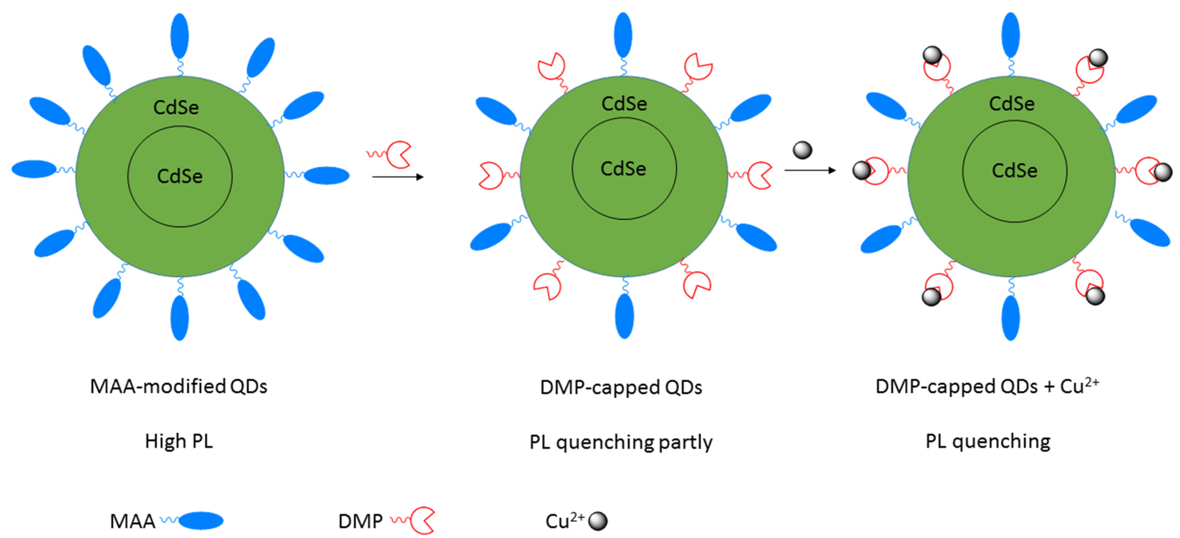 Molecules 26 00692 g062