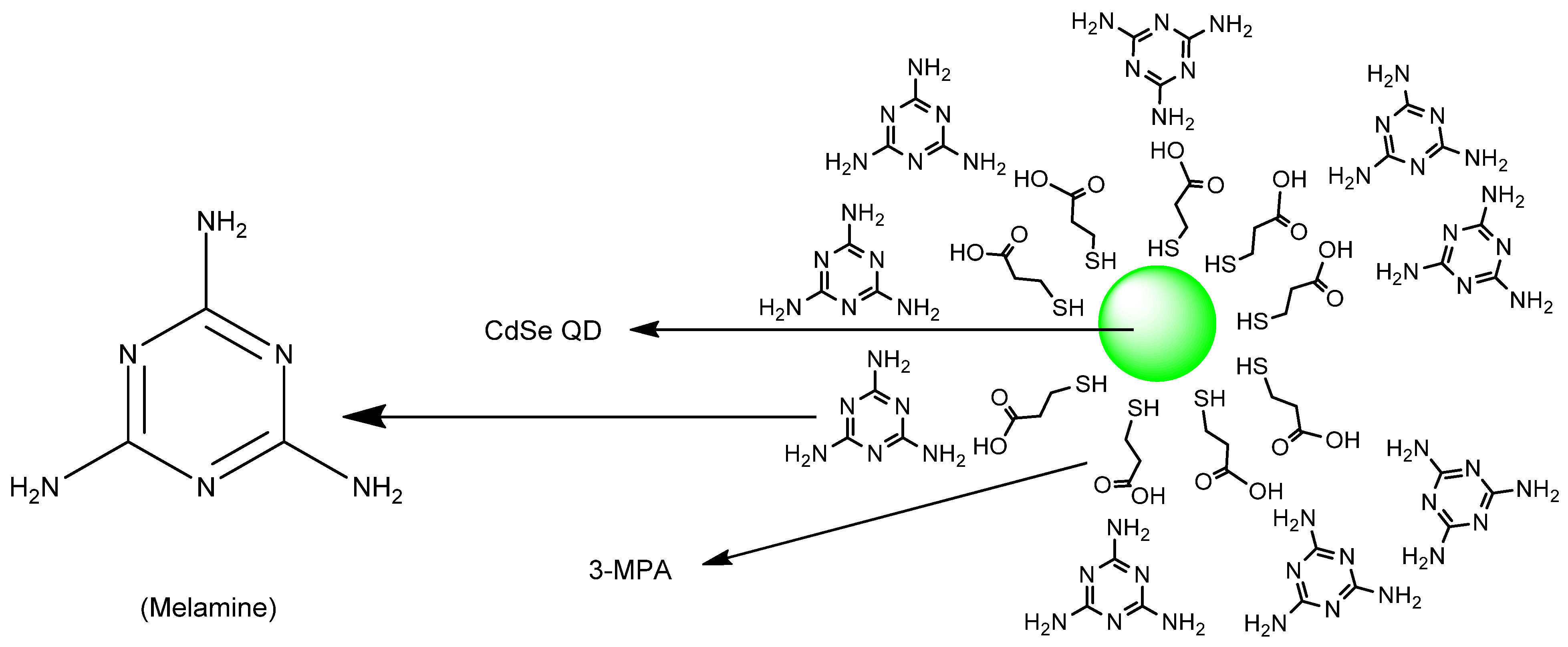 Molecules 26 00692 g066