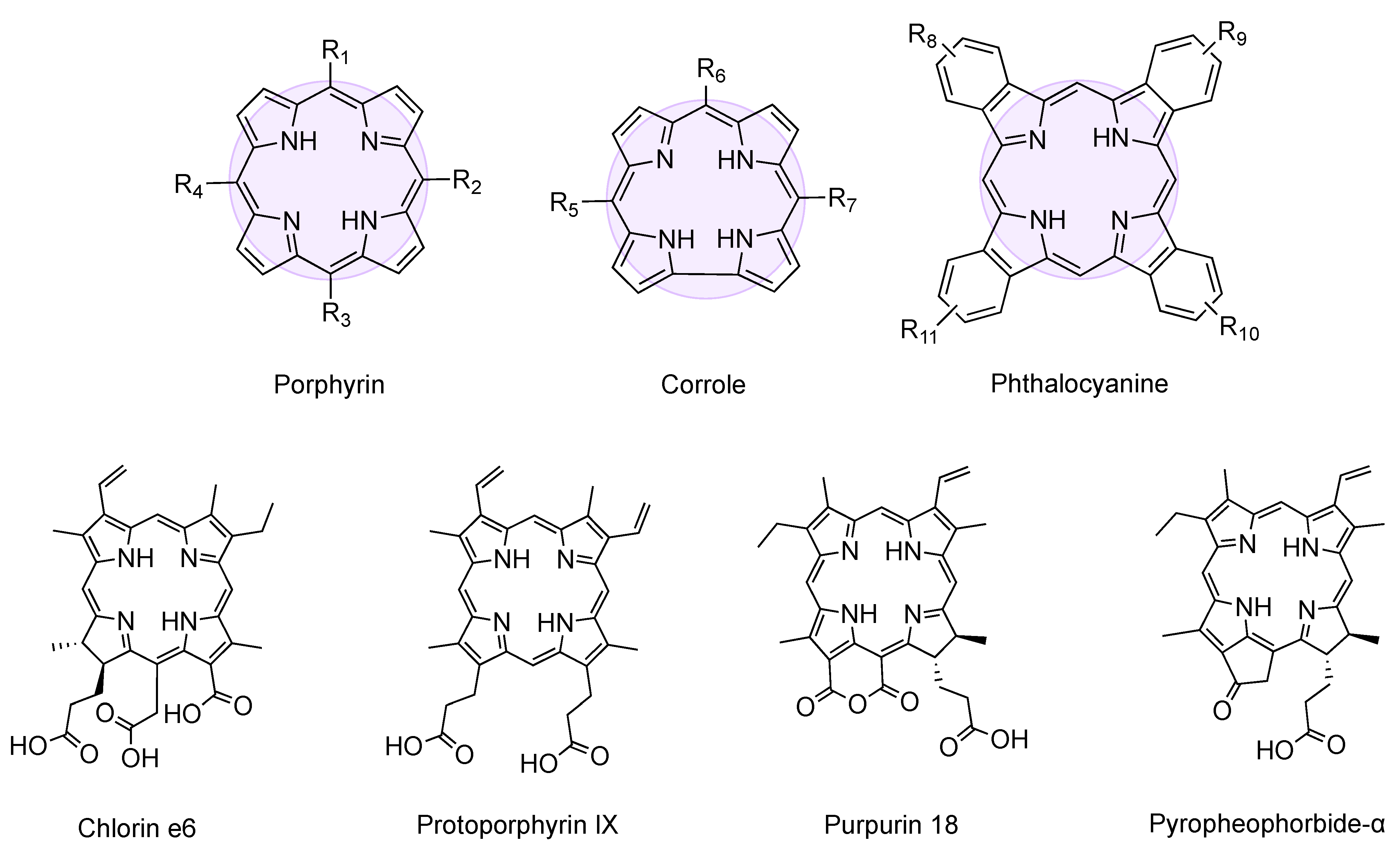 Molecules 26 00693 g001