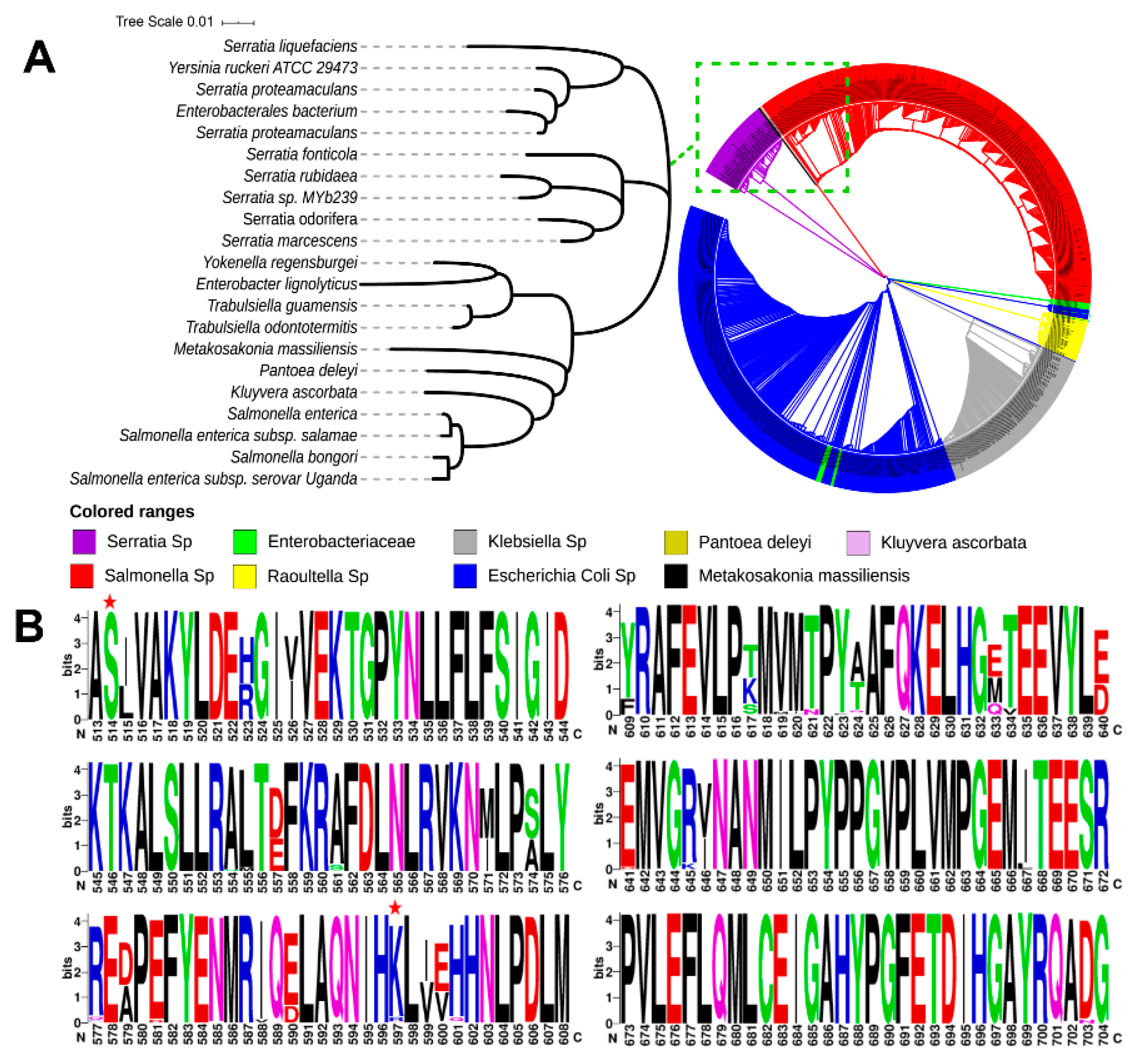 Molecules 26 00697 g001