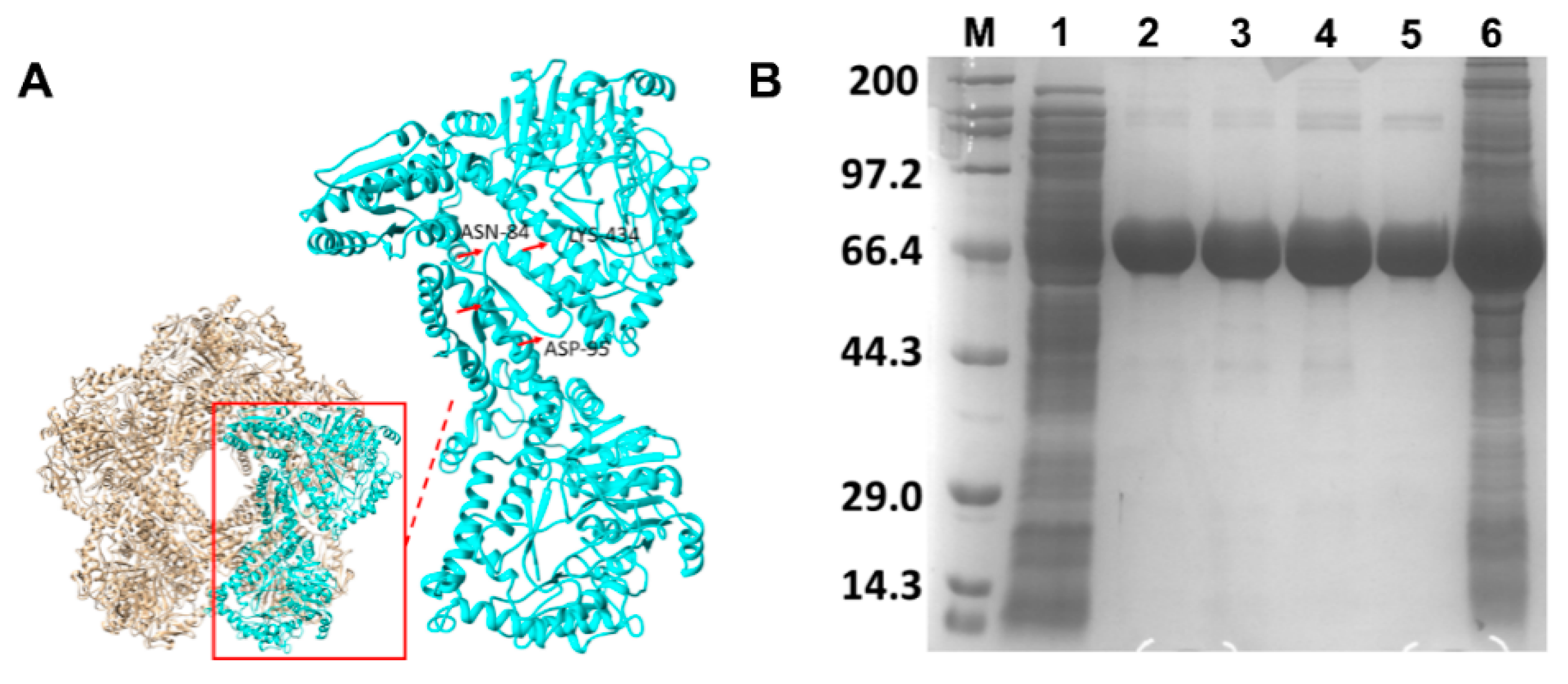 Molecules 26 00697 g002