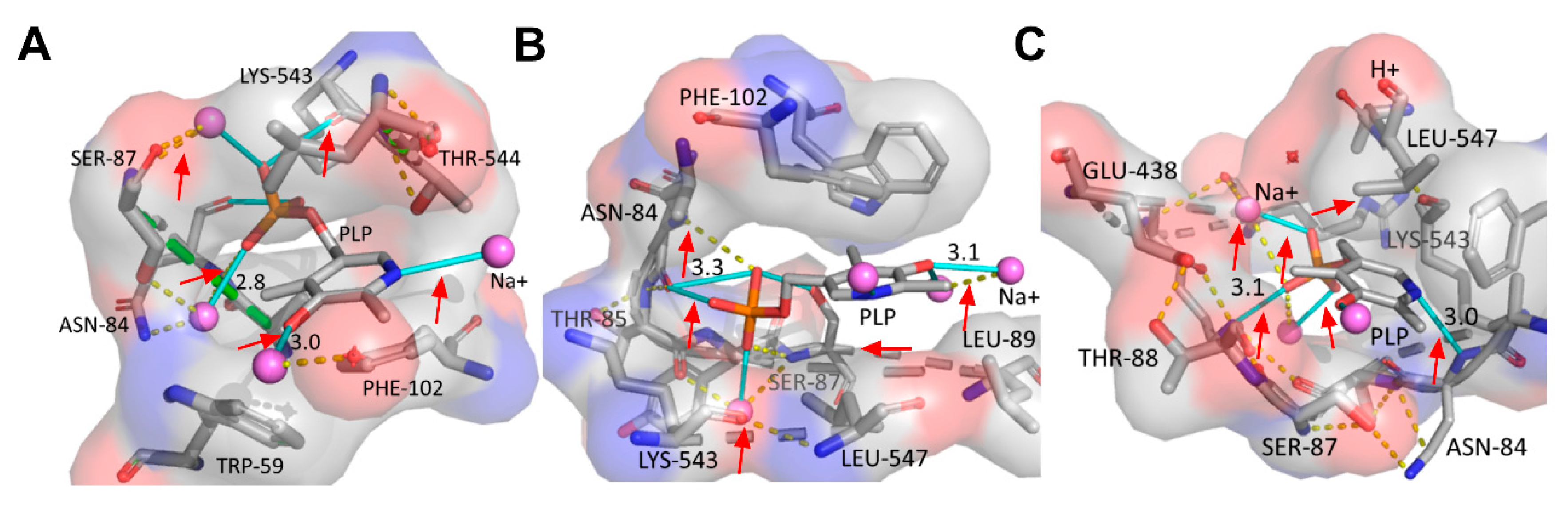 Molecules 26 00697 g004