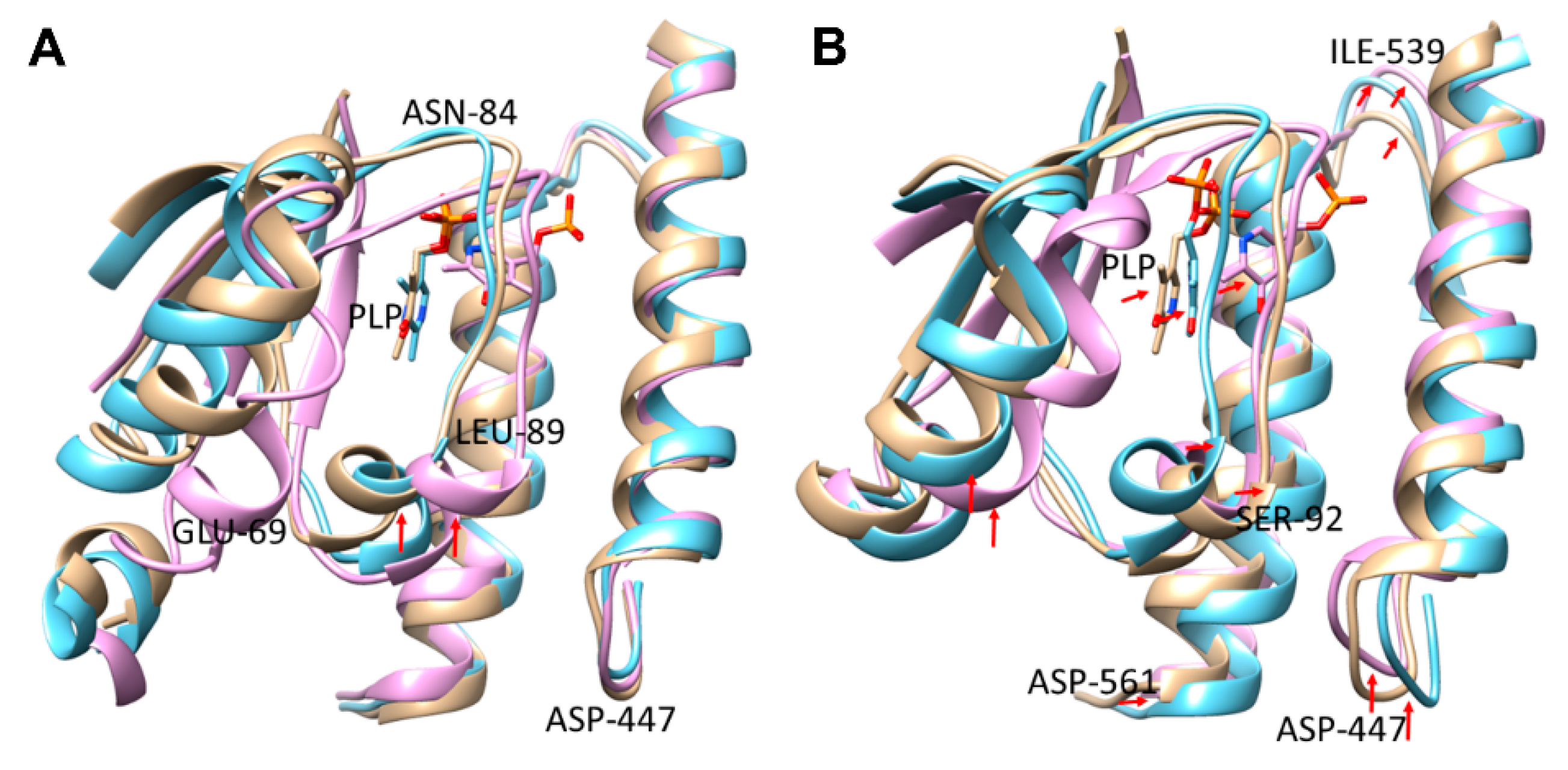Molecules 26 00697 g005