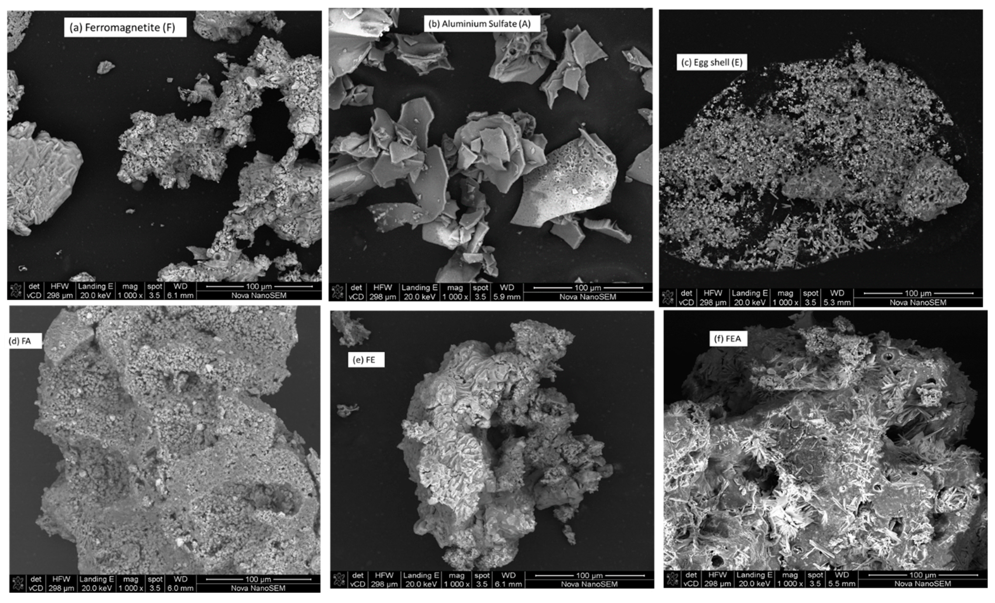 Molecules 26 00698 g001 Molecules 26 00698 g001