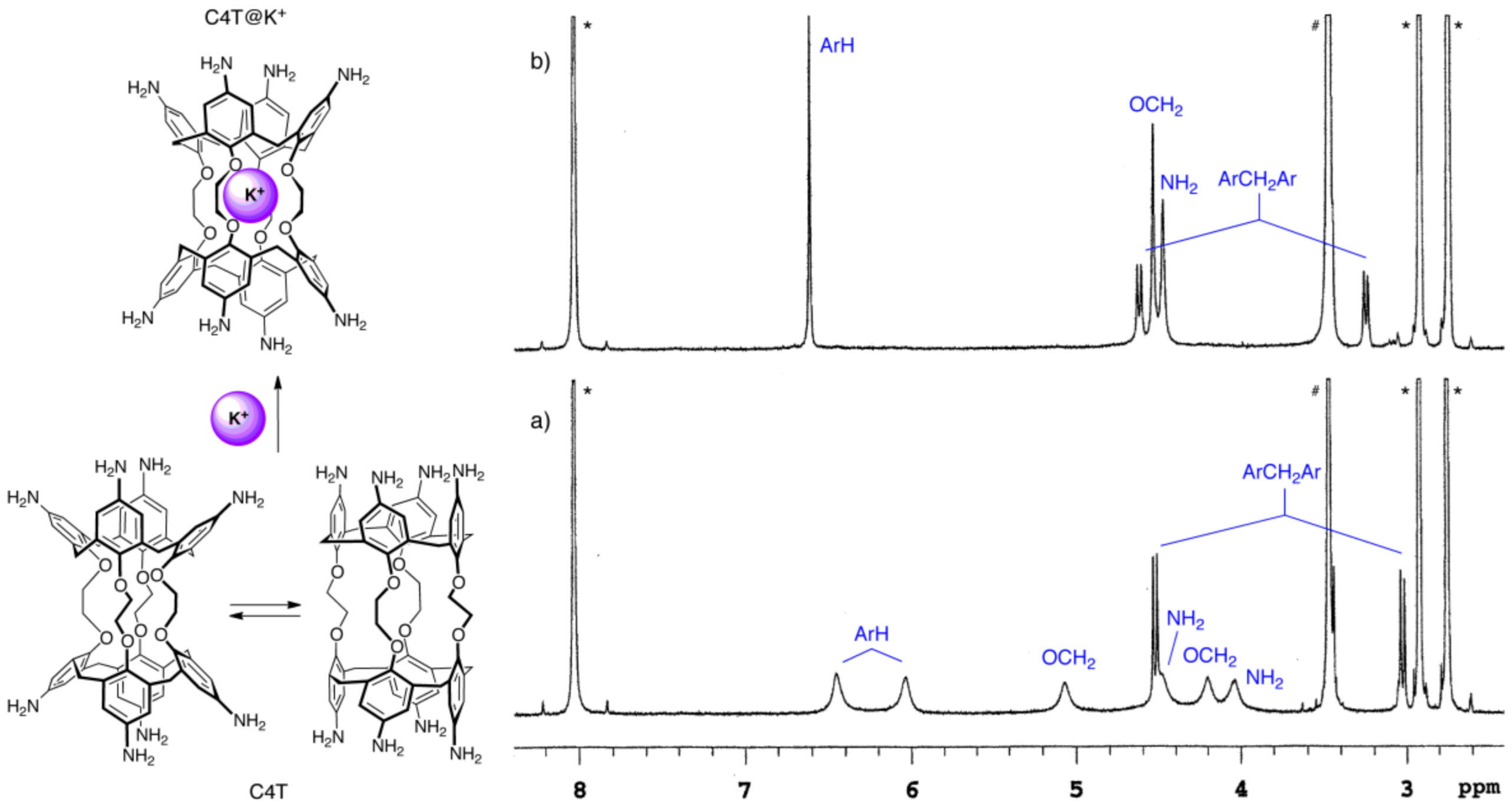 Molecules 26 00704 g001 Molecules 26 00704 g001