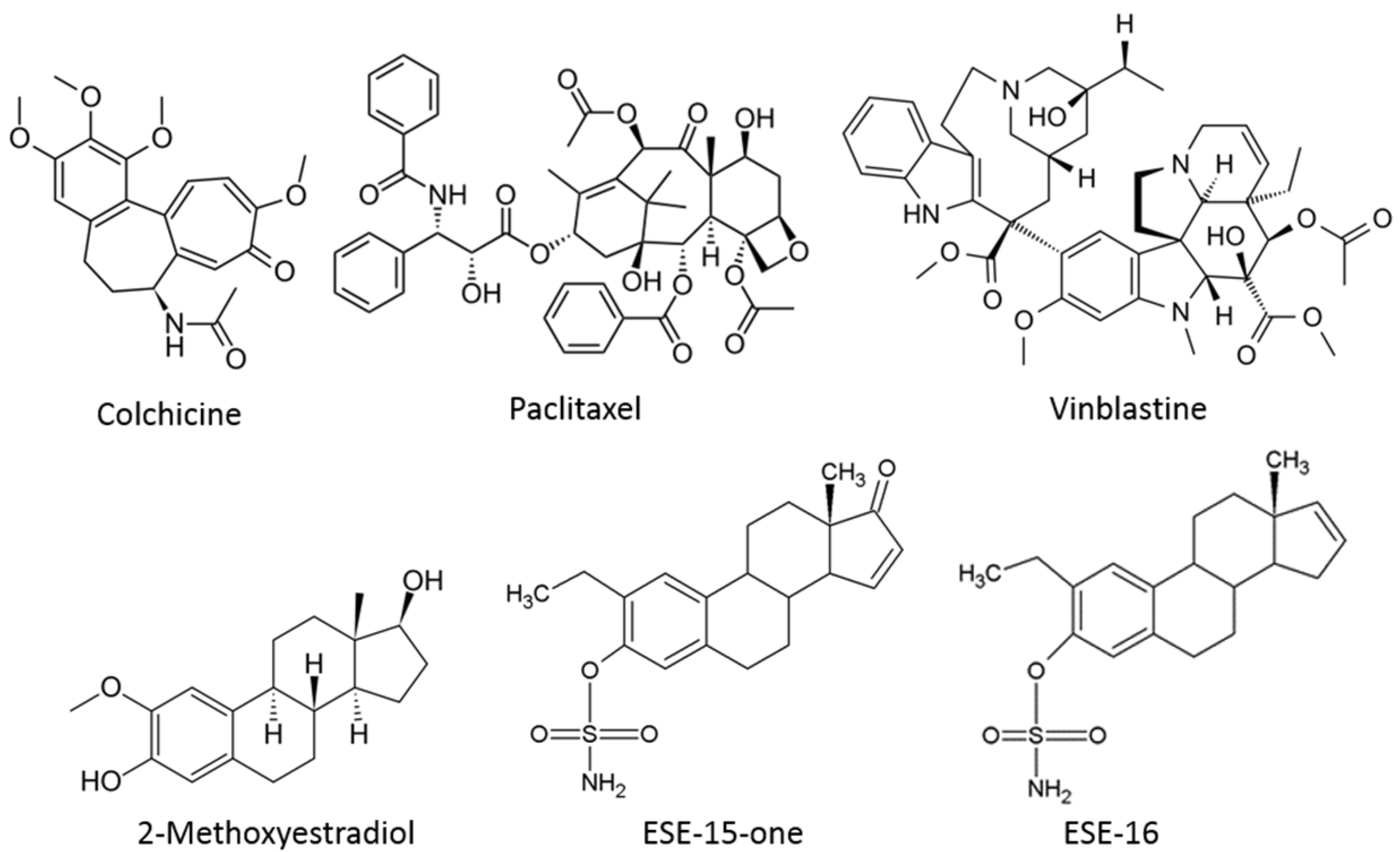 Molecules 26 00706 g001 Molecules 26 00706 g001