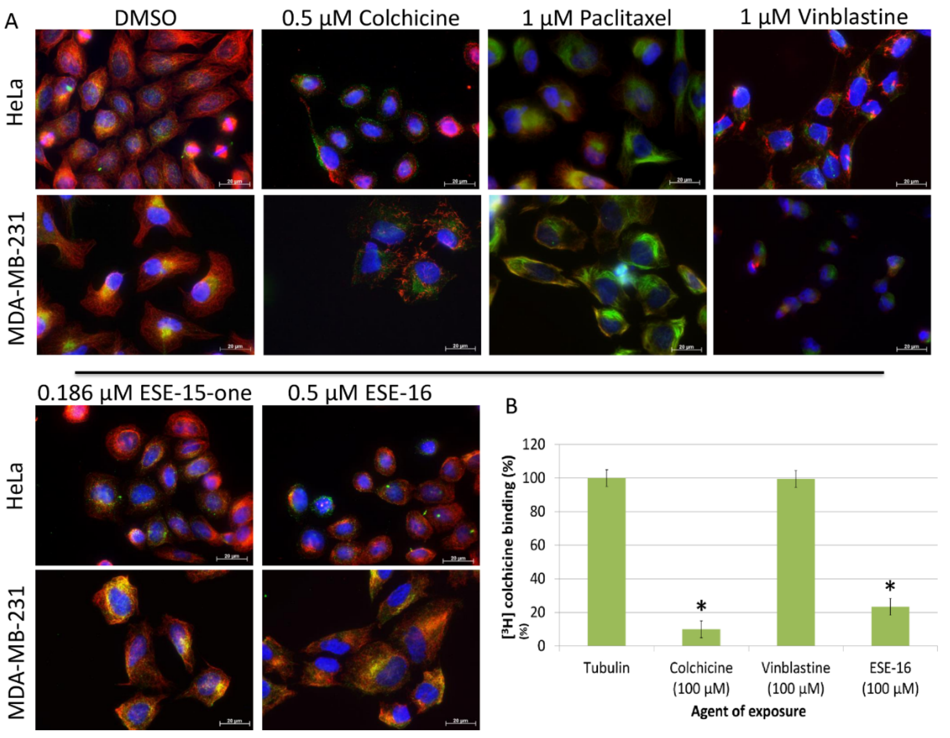 Molecules 26 00706 g002 Molecules 26 00706 g002